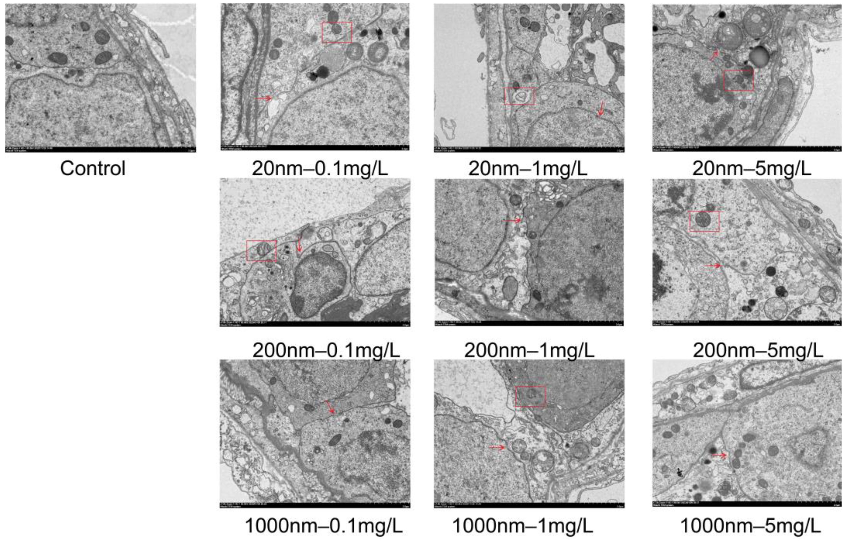 Toxics 12 00531 g007