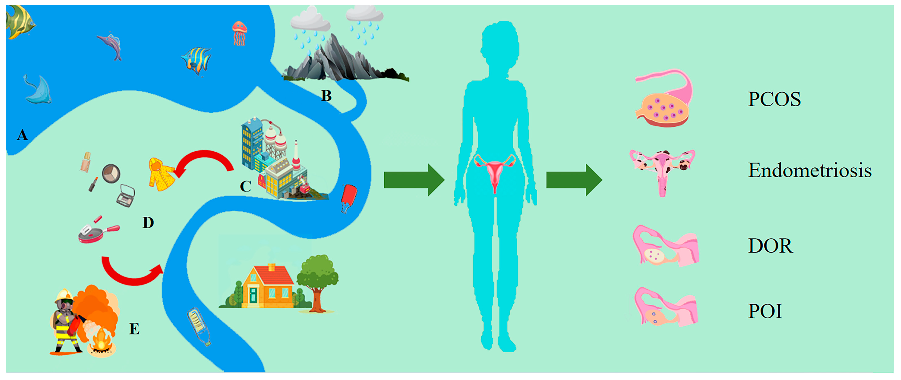Toxics 12 00539 g001