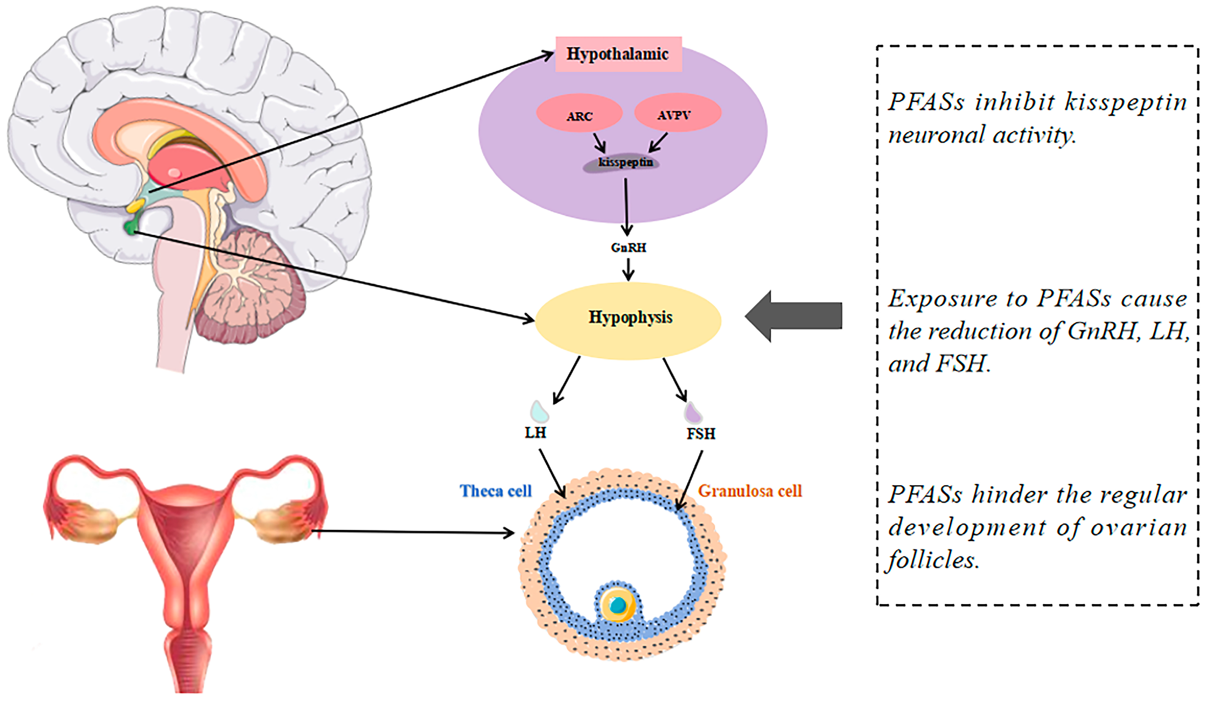 Toxics 12 00539 g002