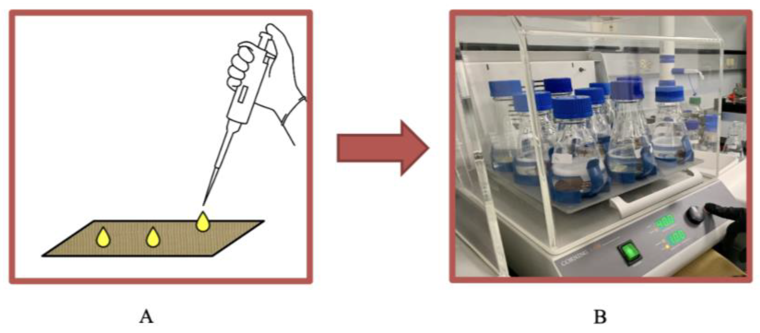 Toxics 12 00544 g001