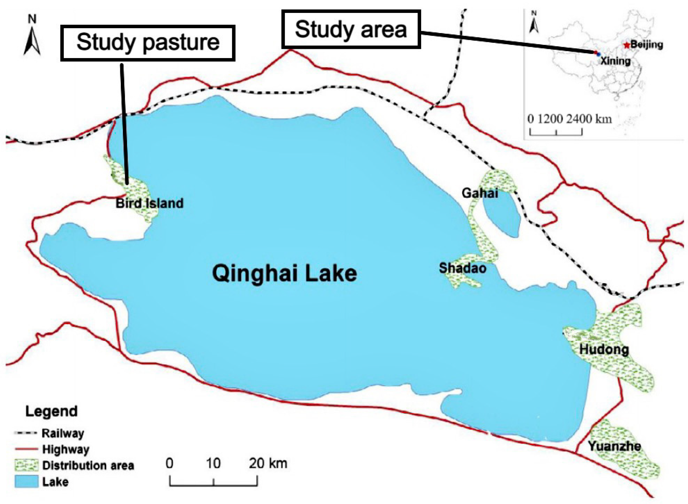 Toxics 12 00546 g001
