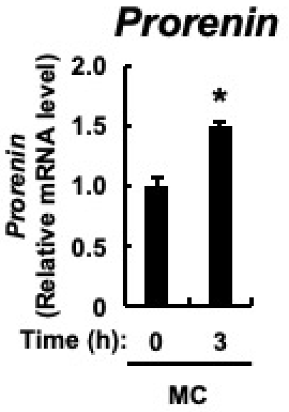 Toxics 12 00547 g006