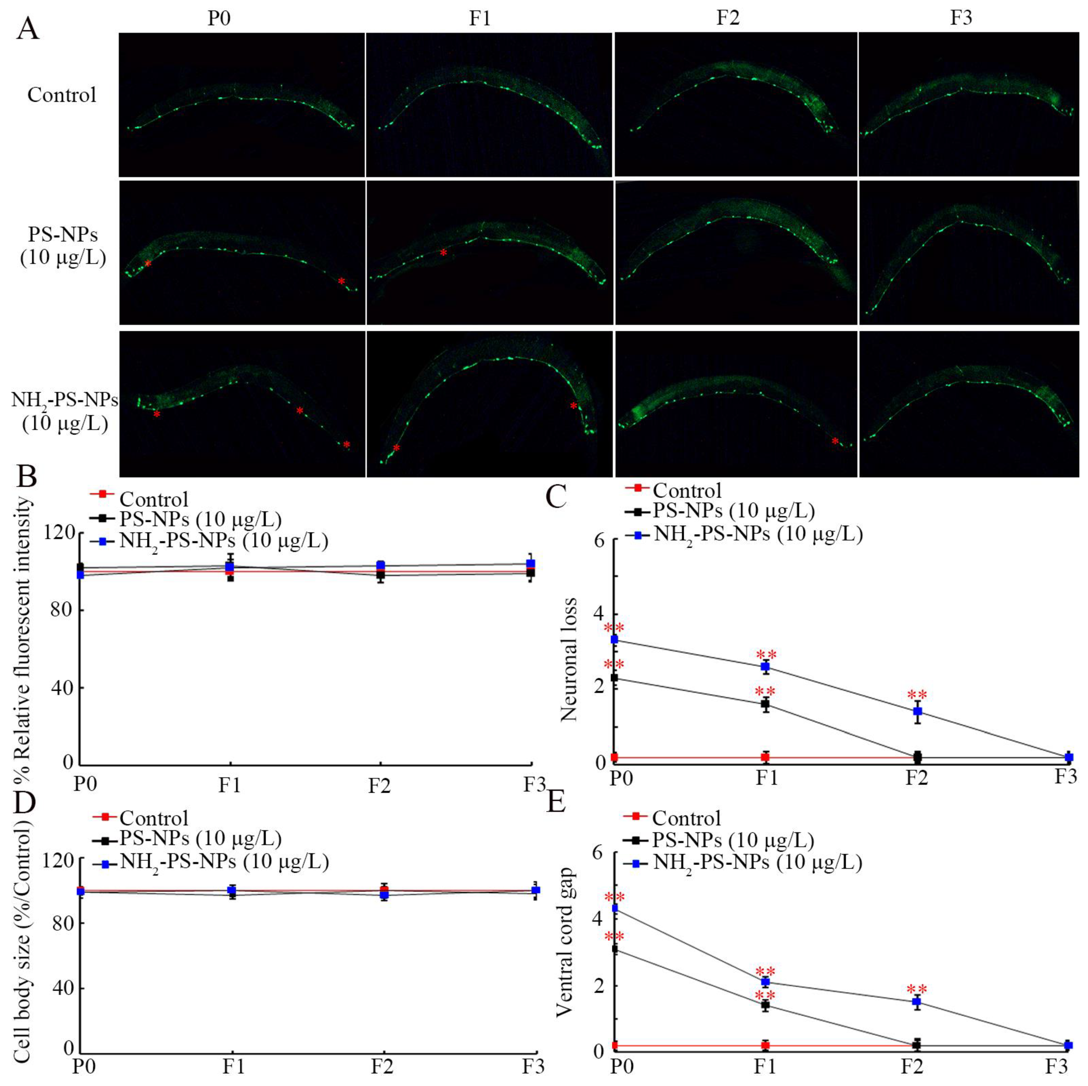 Toxics 12 00555 g002