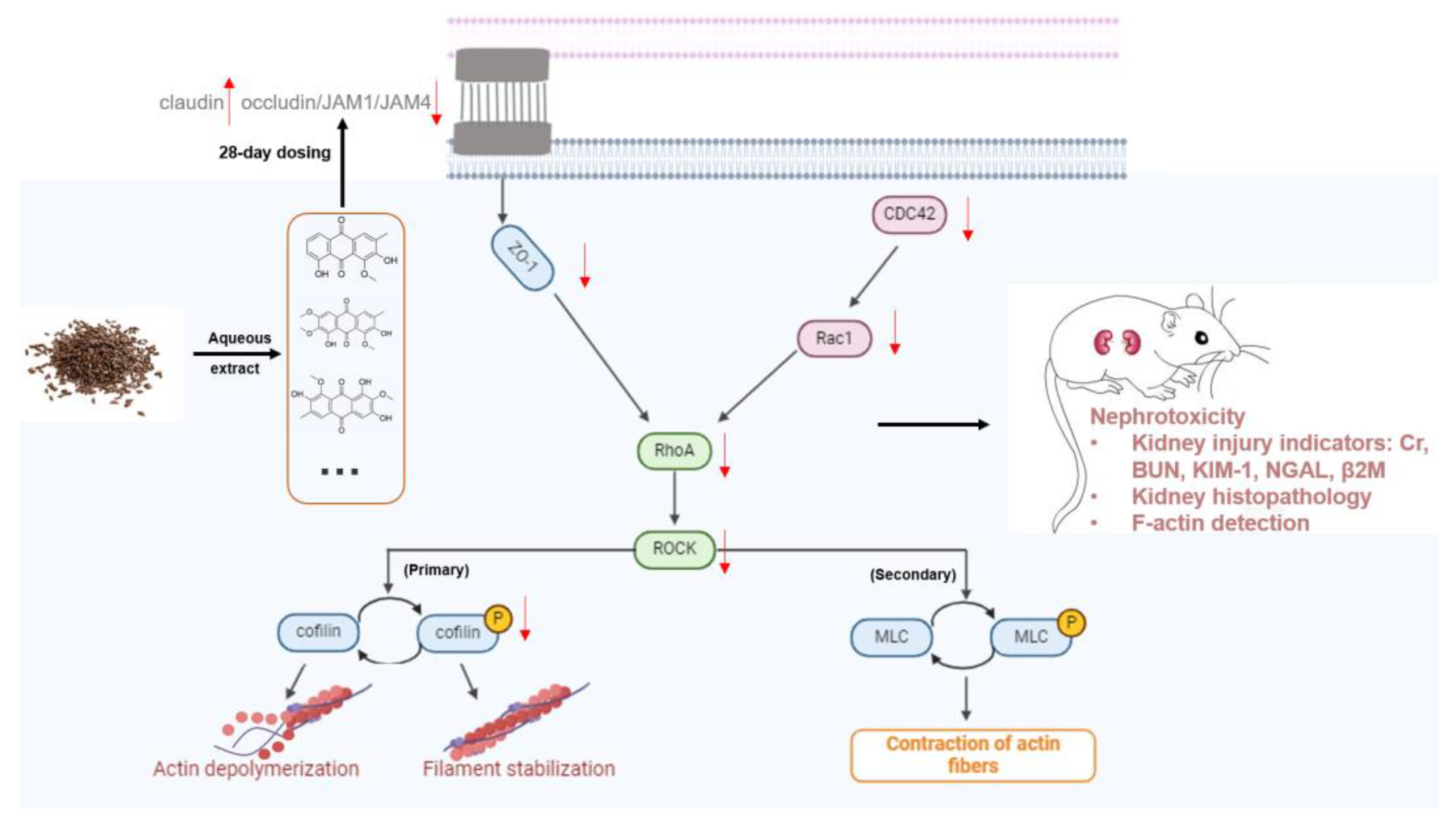 Toxics 12 00556 g013