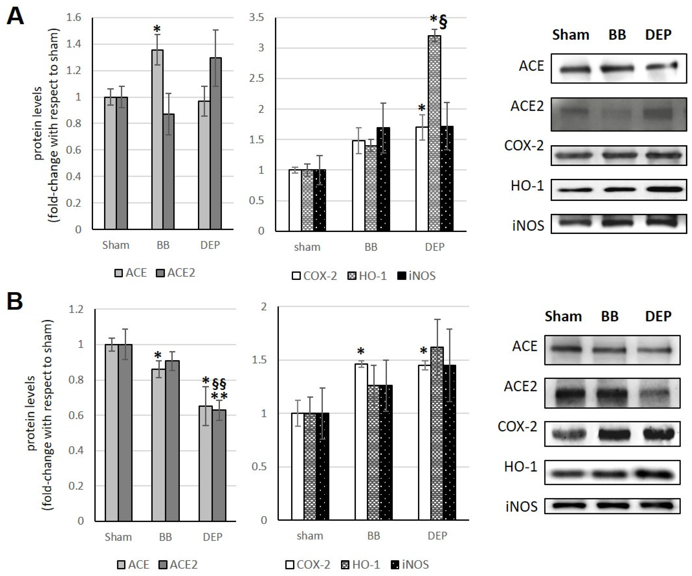 Toxics 12 00560 g002 Toxics 12 00560 g002