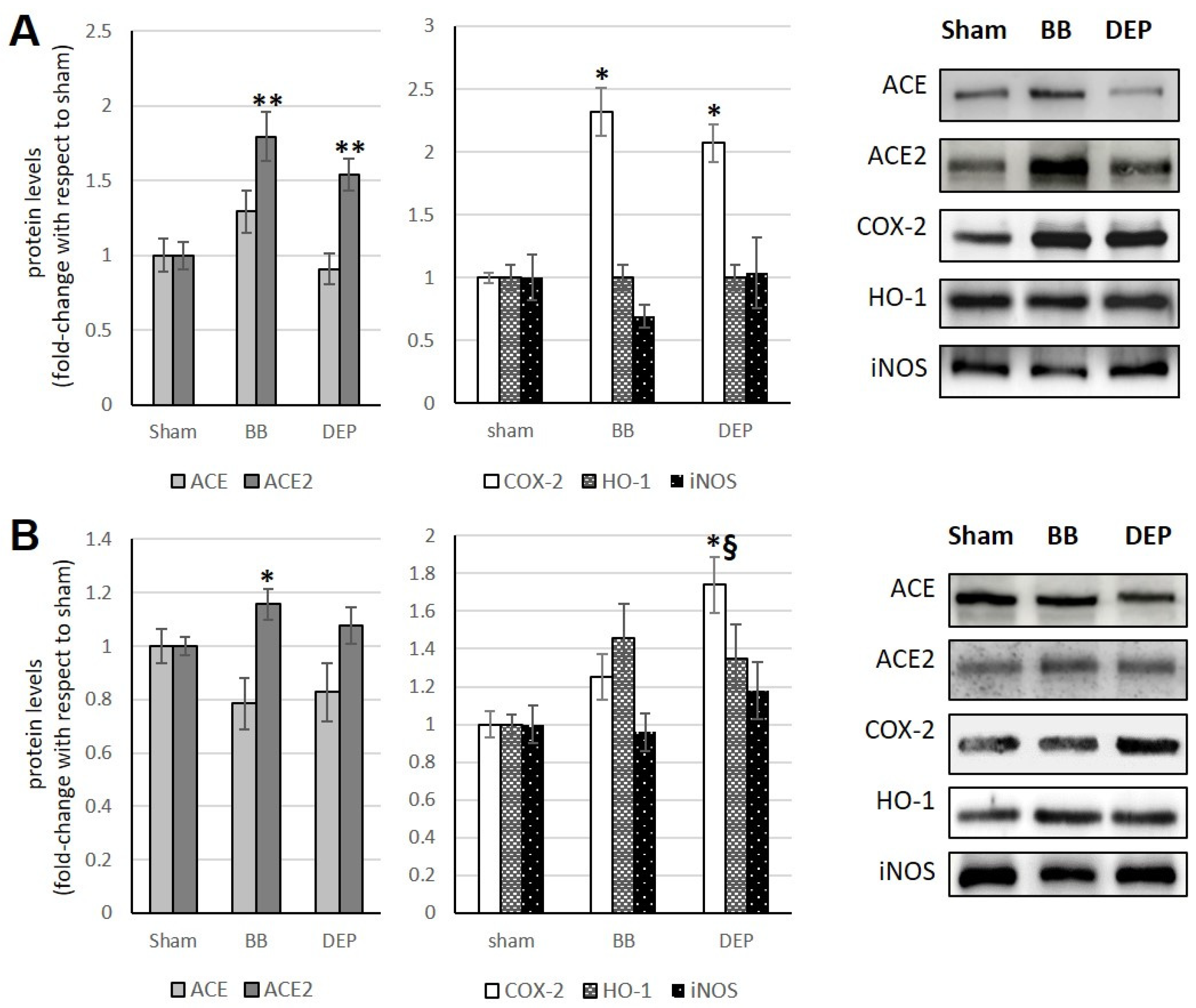 Toxics 12 00560 g003 Toxics 12 00560 g003