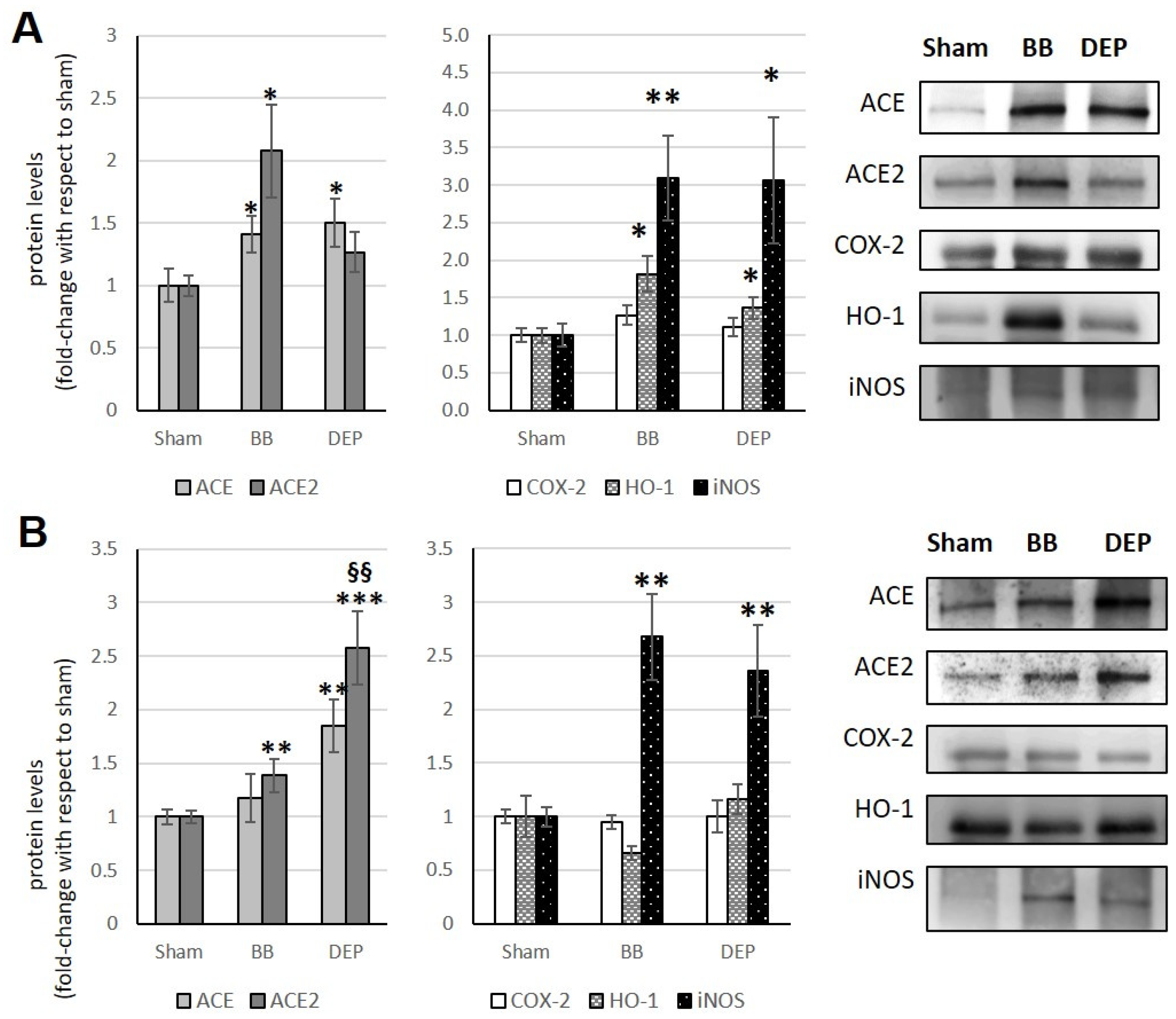 Toxics 12 00560 g005 Toxics 12 00560 g005