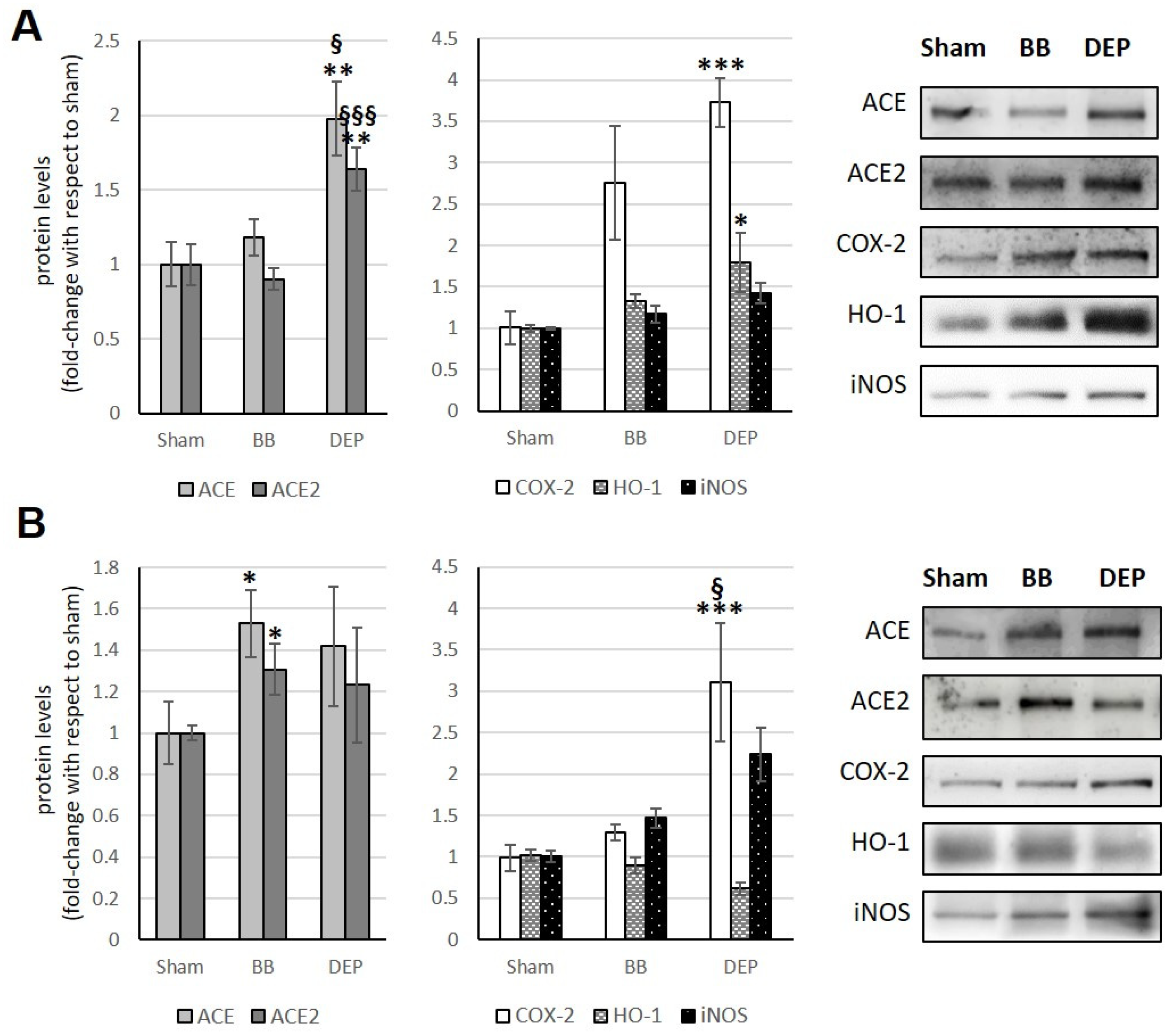 Toxics 12 00560 g006 Toxics 12 00560 g006