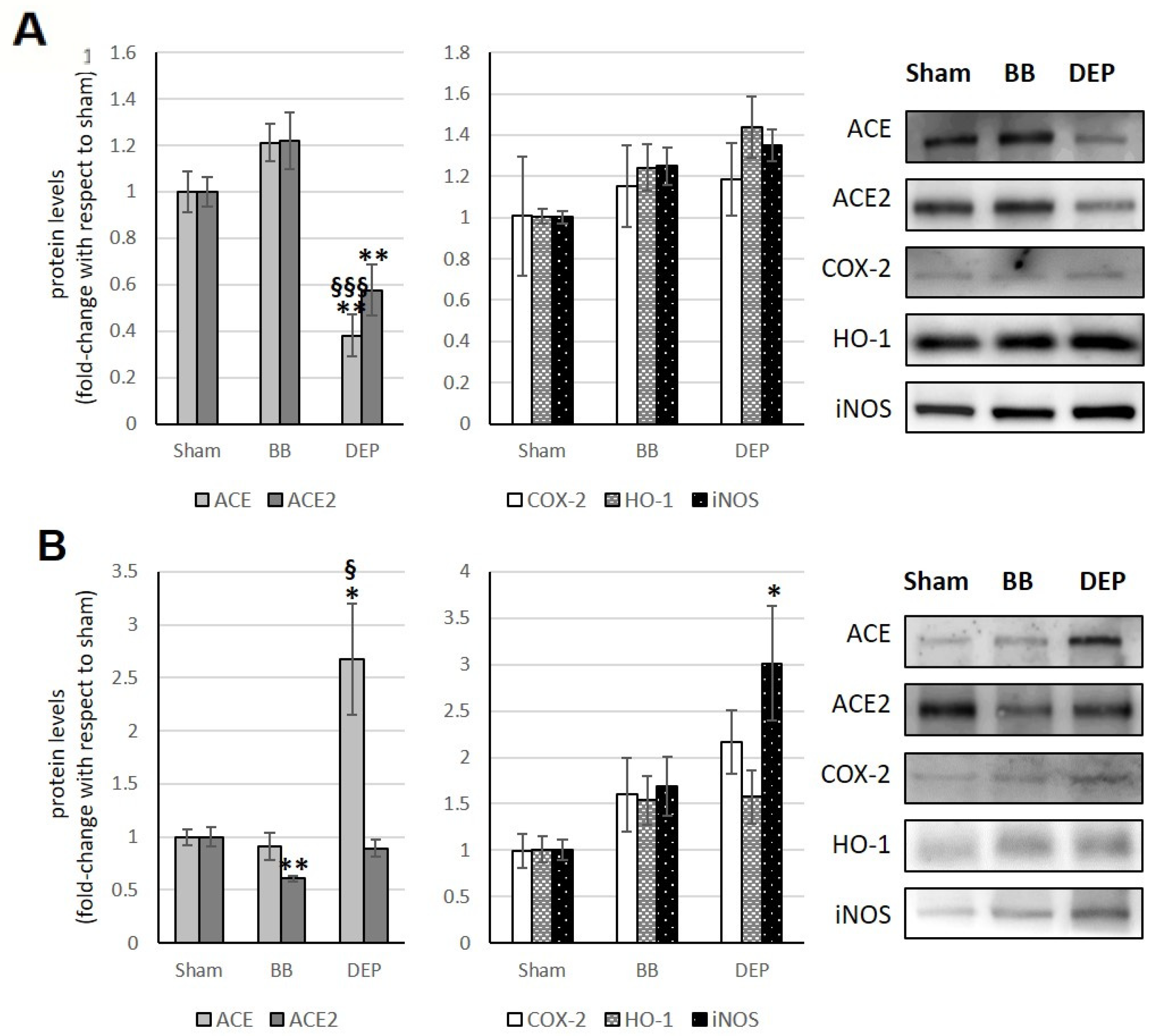 Toxics 12 00560 g007 Toxics 12 00560 g007