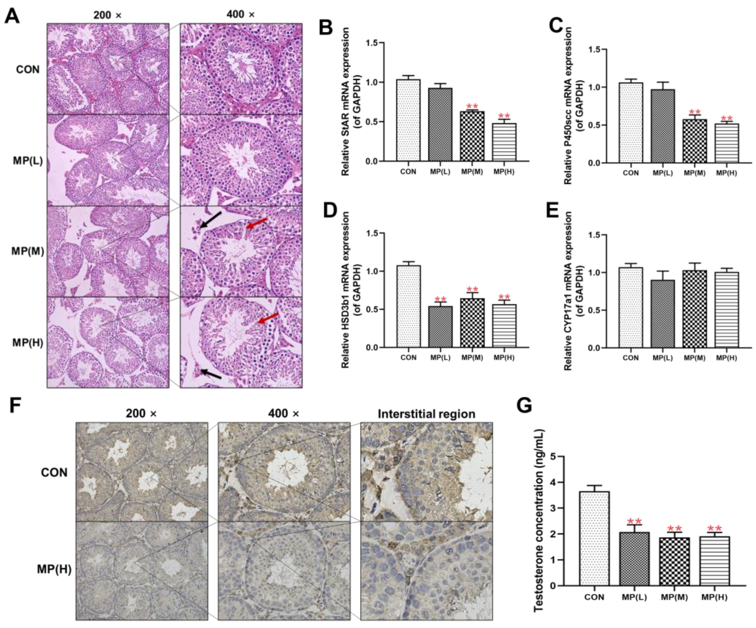 Toxics 12 00561 g001
