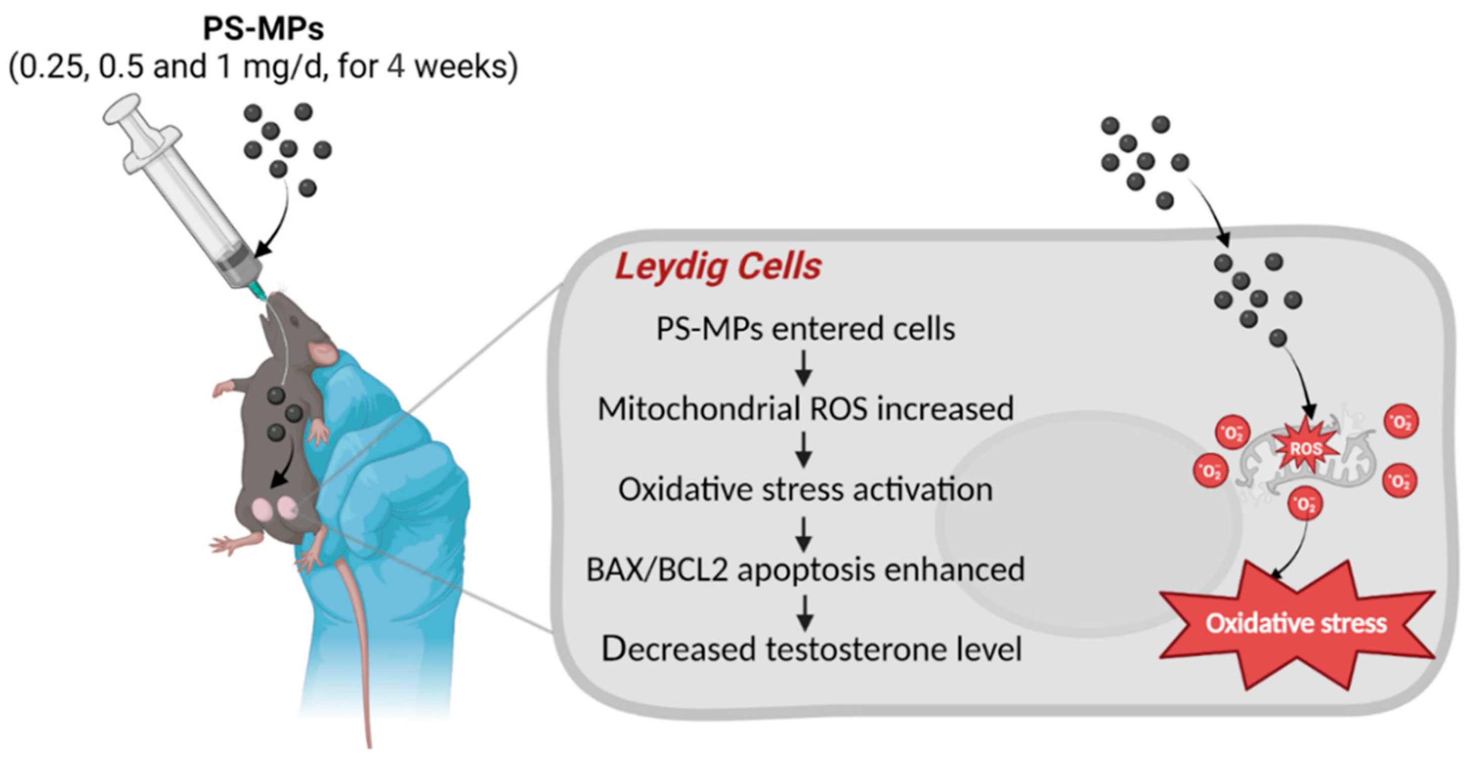 Toxics 12 00561 g006