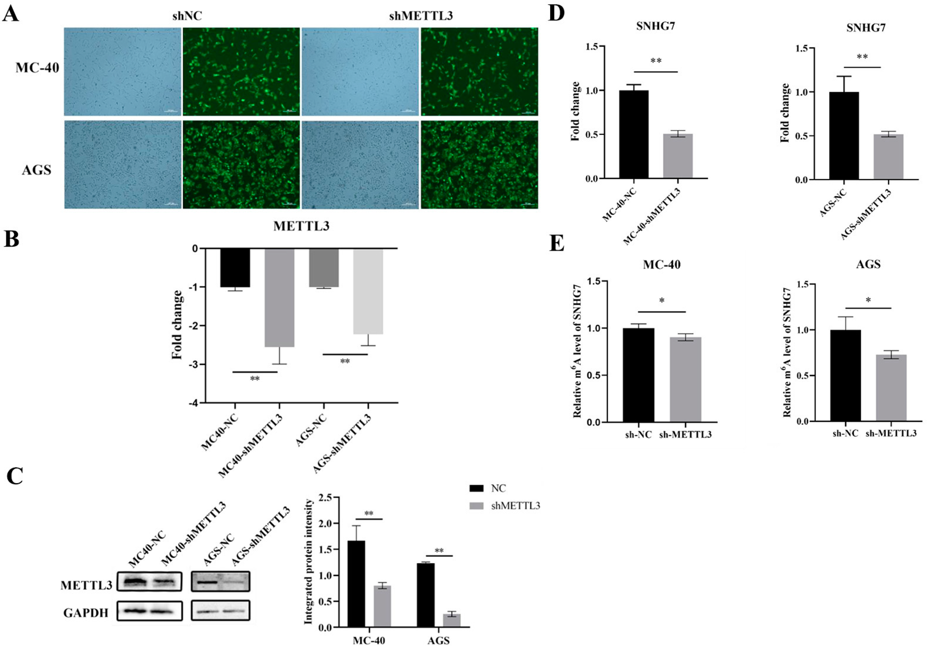 Toxics 12 00573 g001