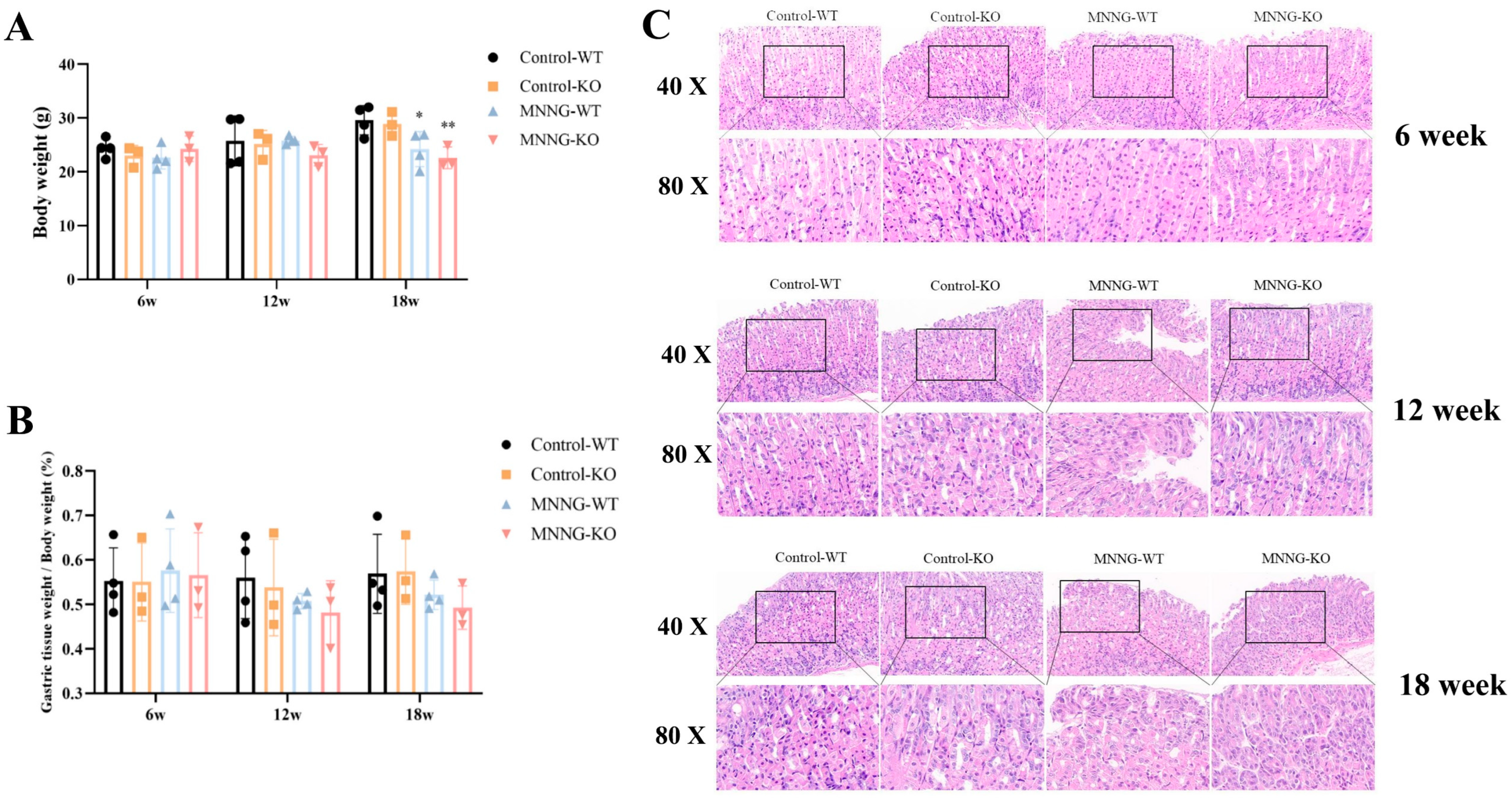 Toxics 12 00573 g003