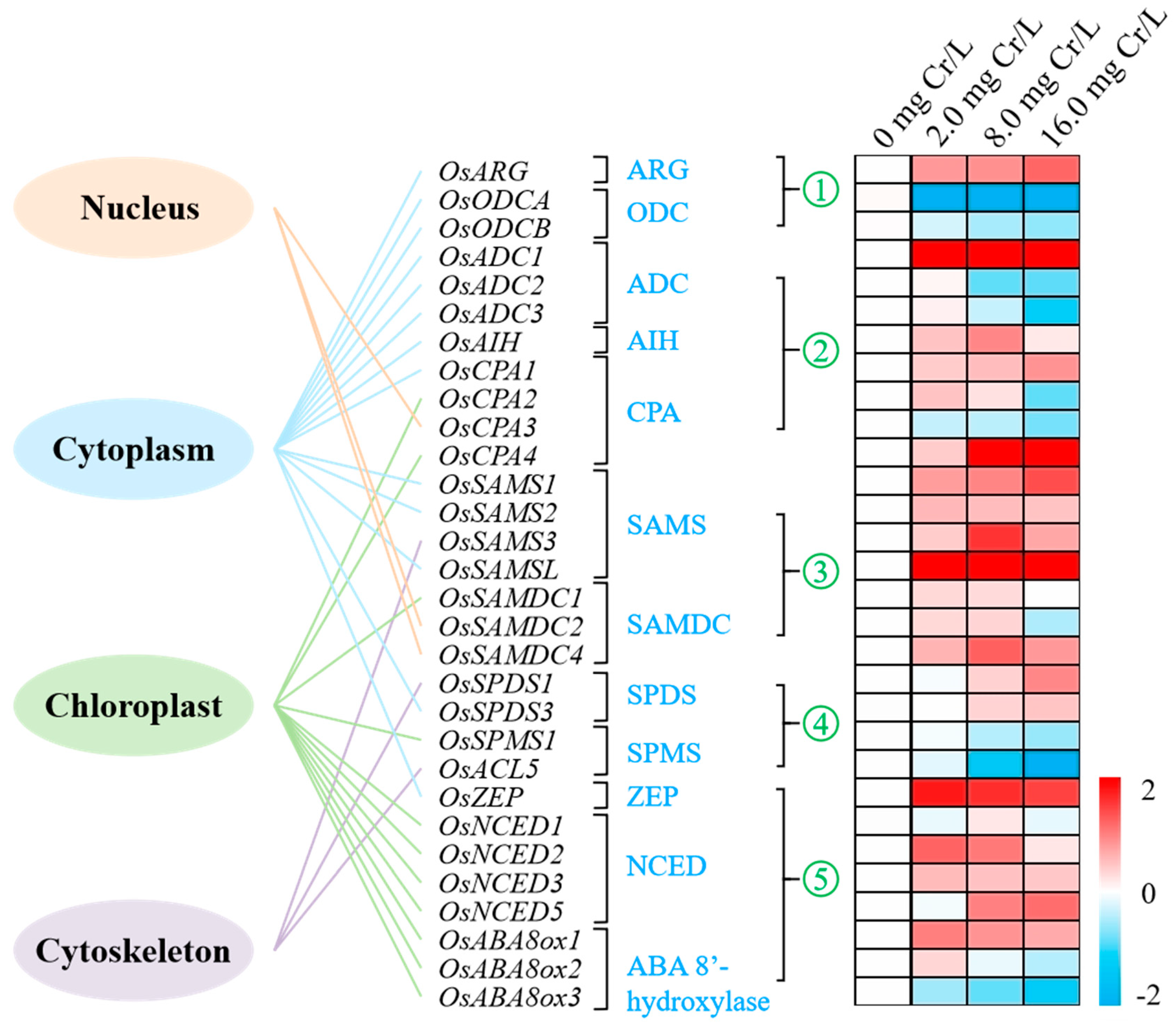 Toxics 12 00577 g004