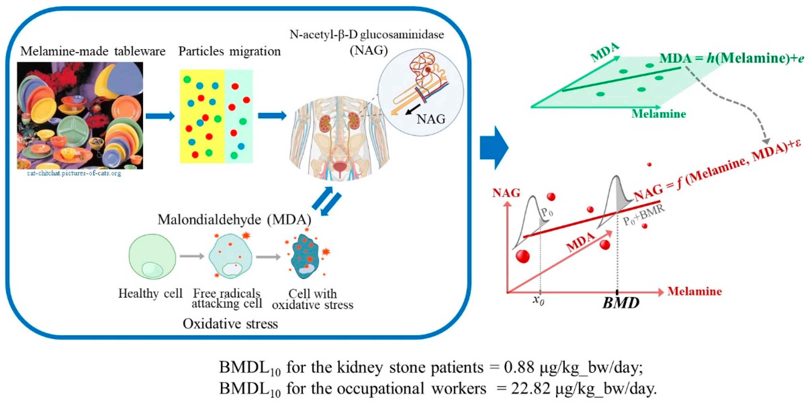 Toxics 12 00584 g001