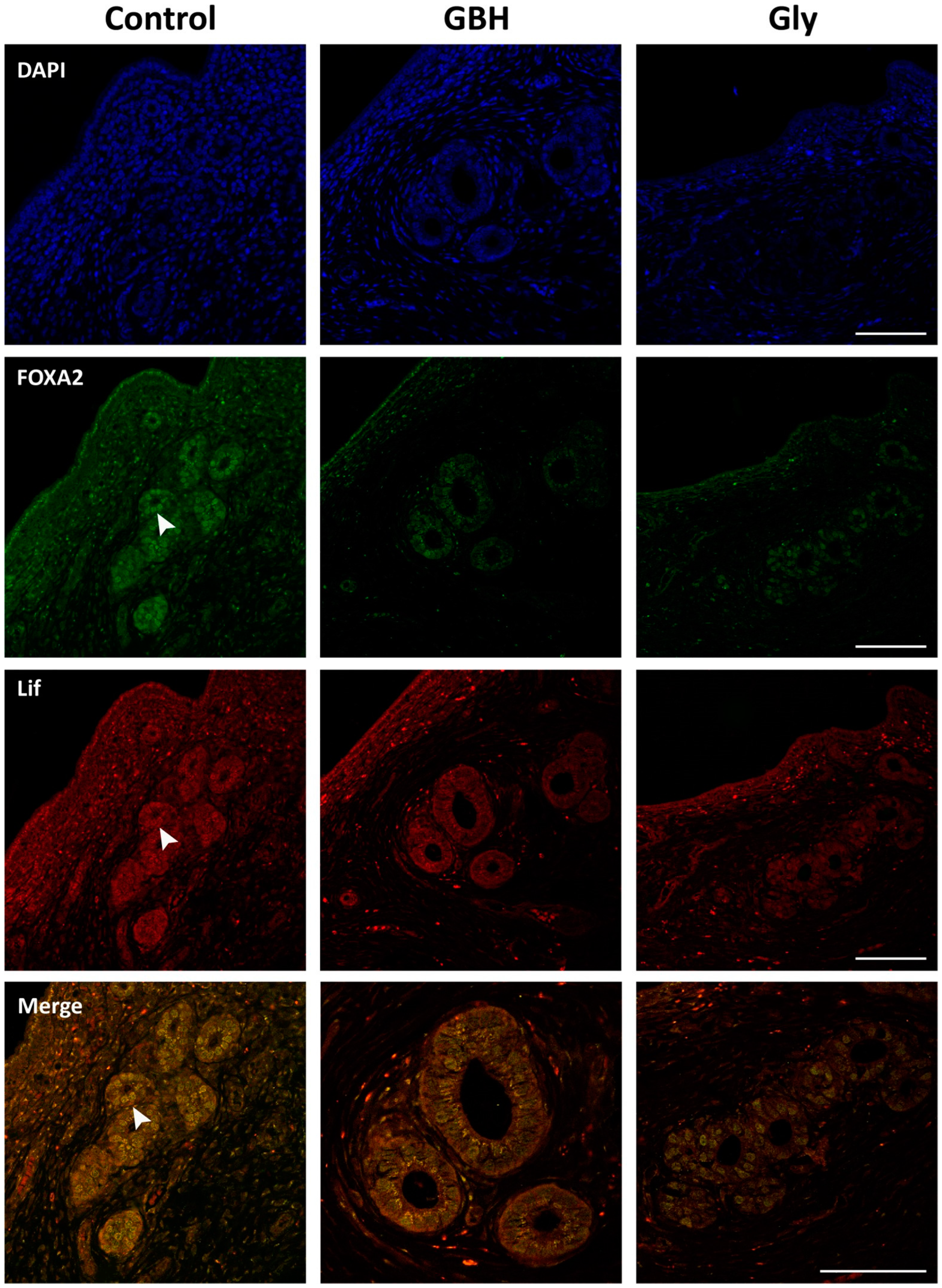 Toxics 12 00590 g007 Toxics 12 00590 g007