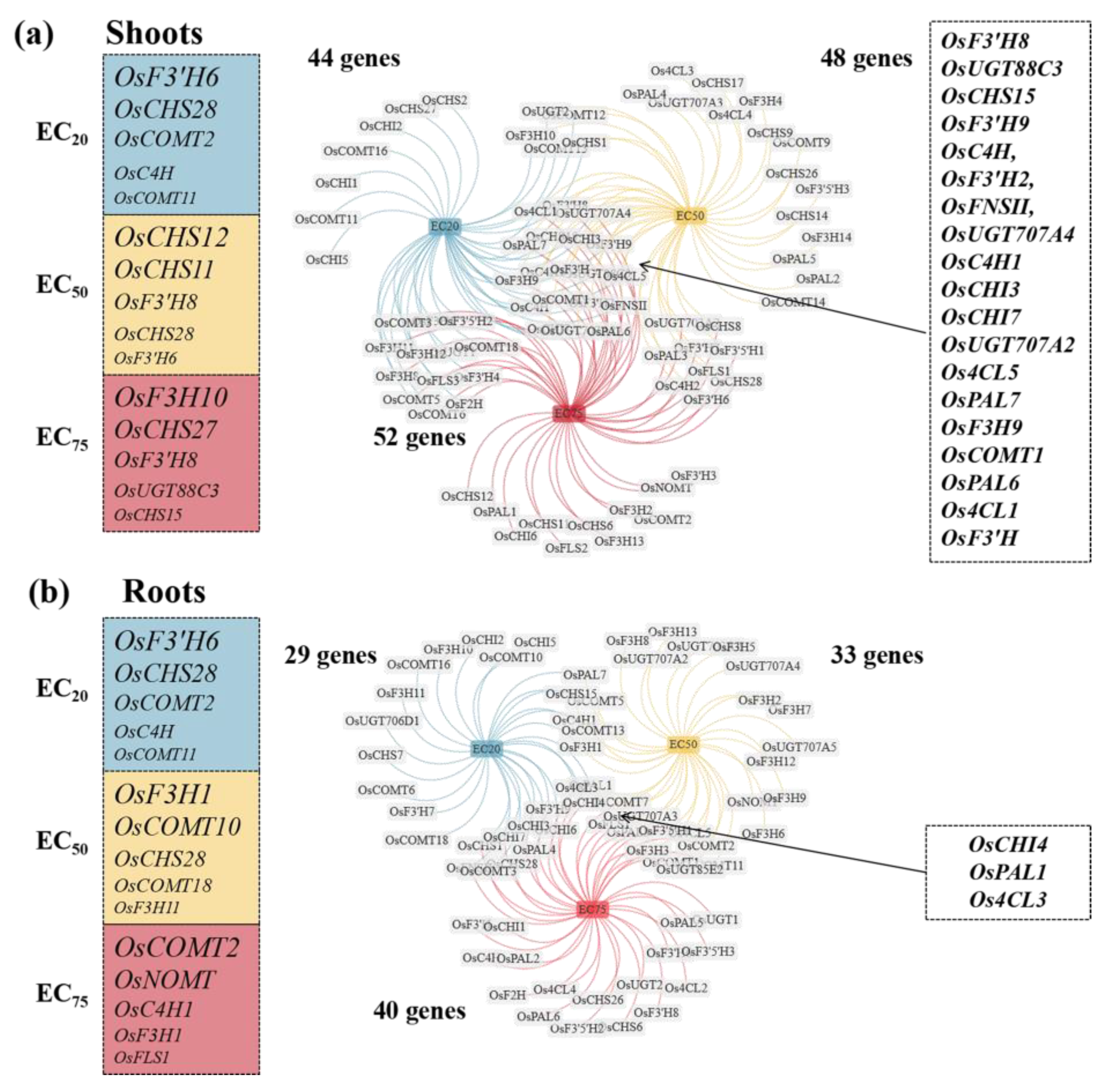 Toxics 12 00591 g007