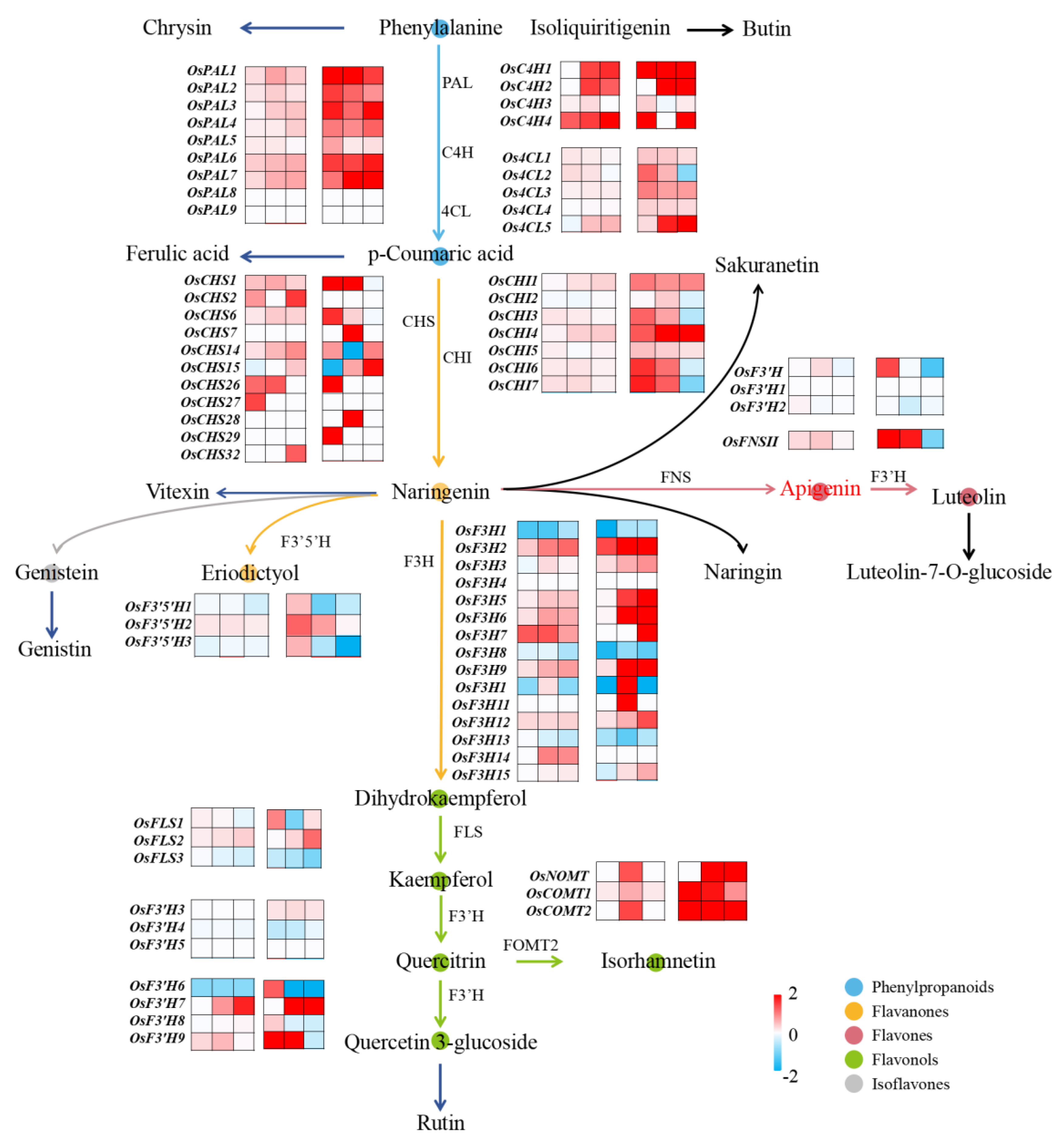 Toxics 12 00591 g008