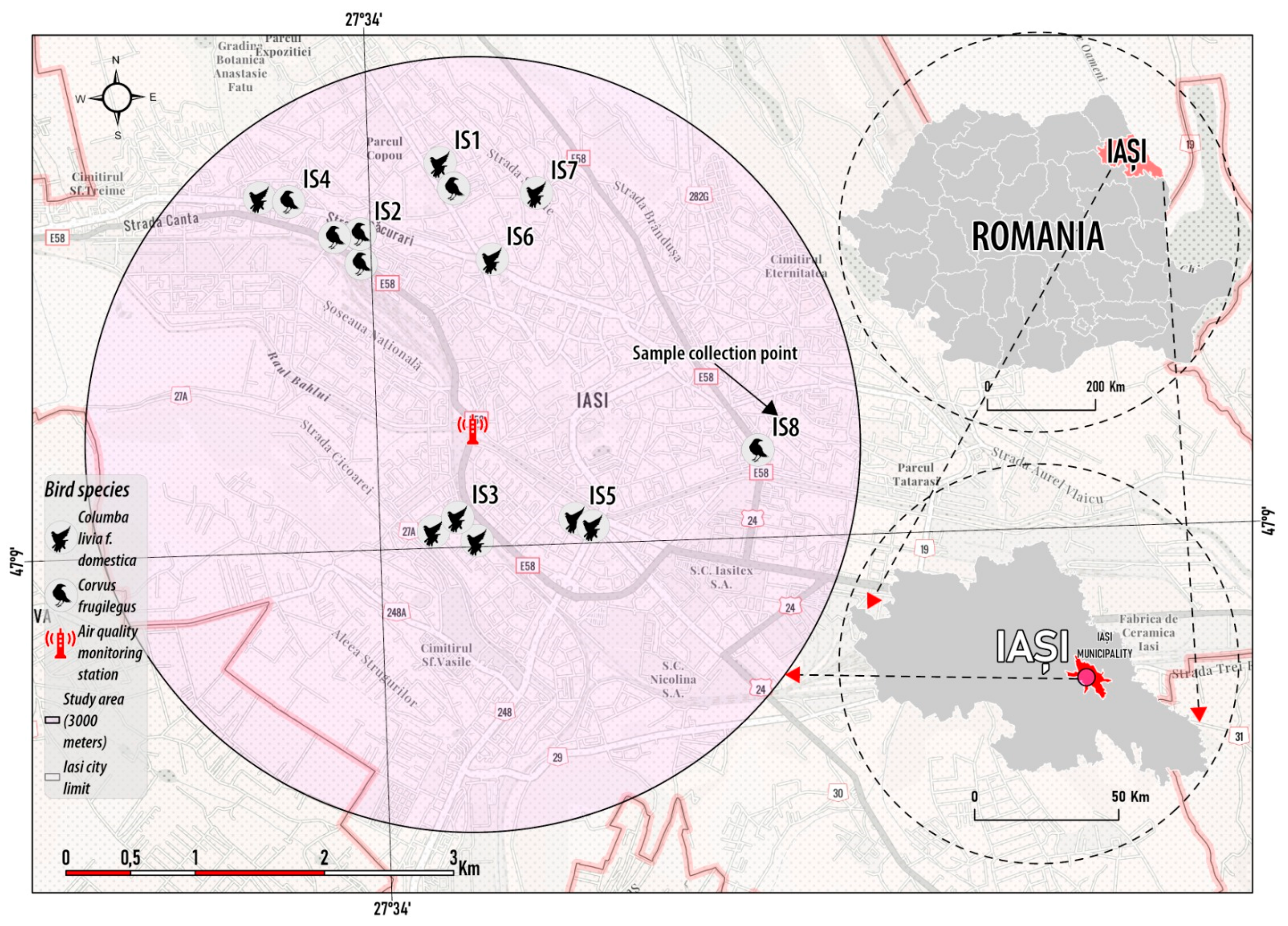 Toxics 12 00593 g001