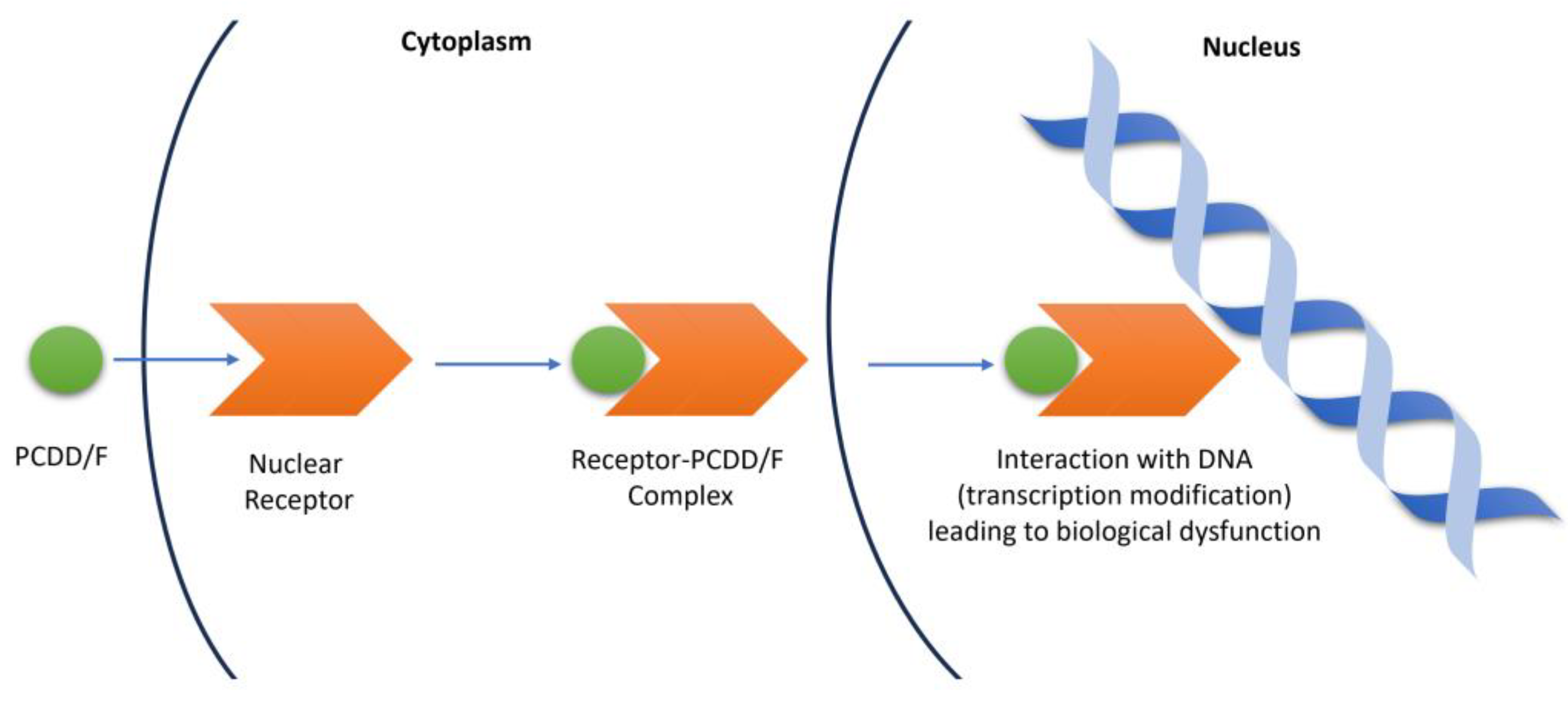 Toxics 12 00597 g002