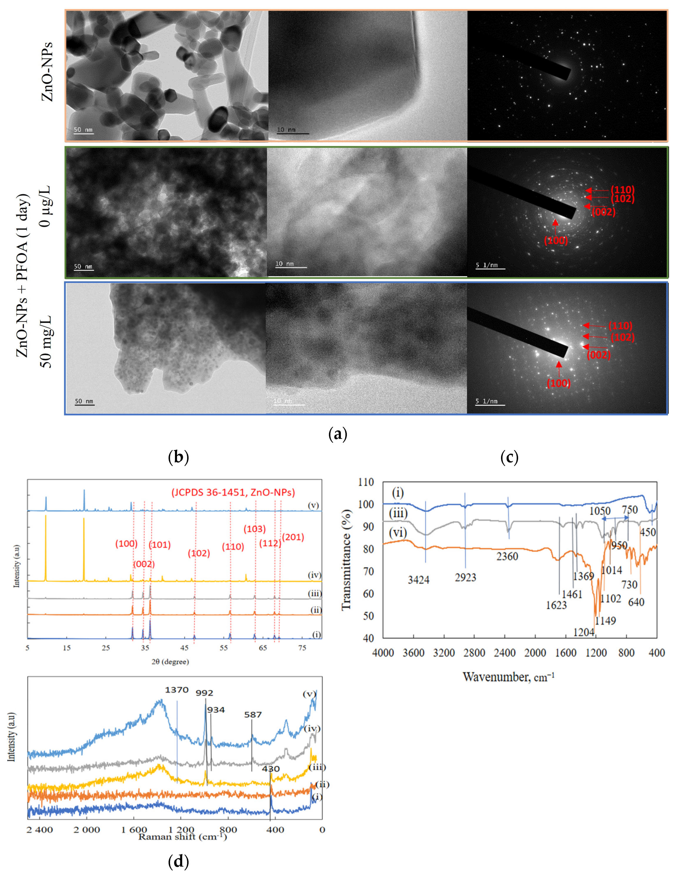 Toxics 12 00602 g002