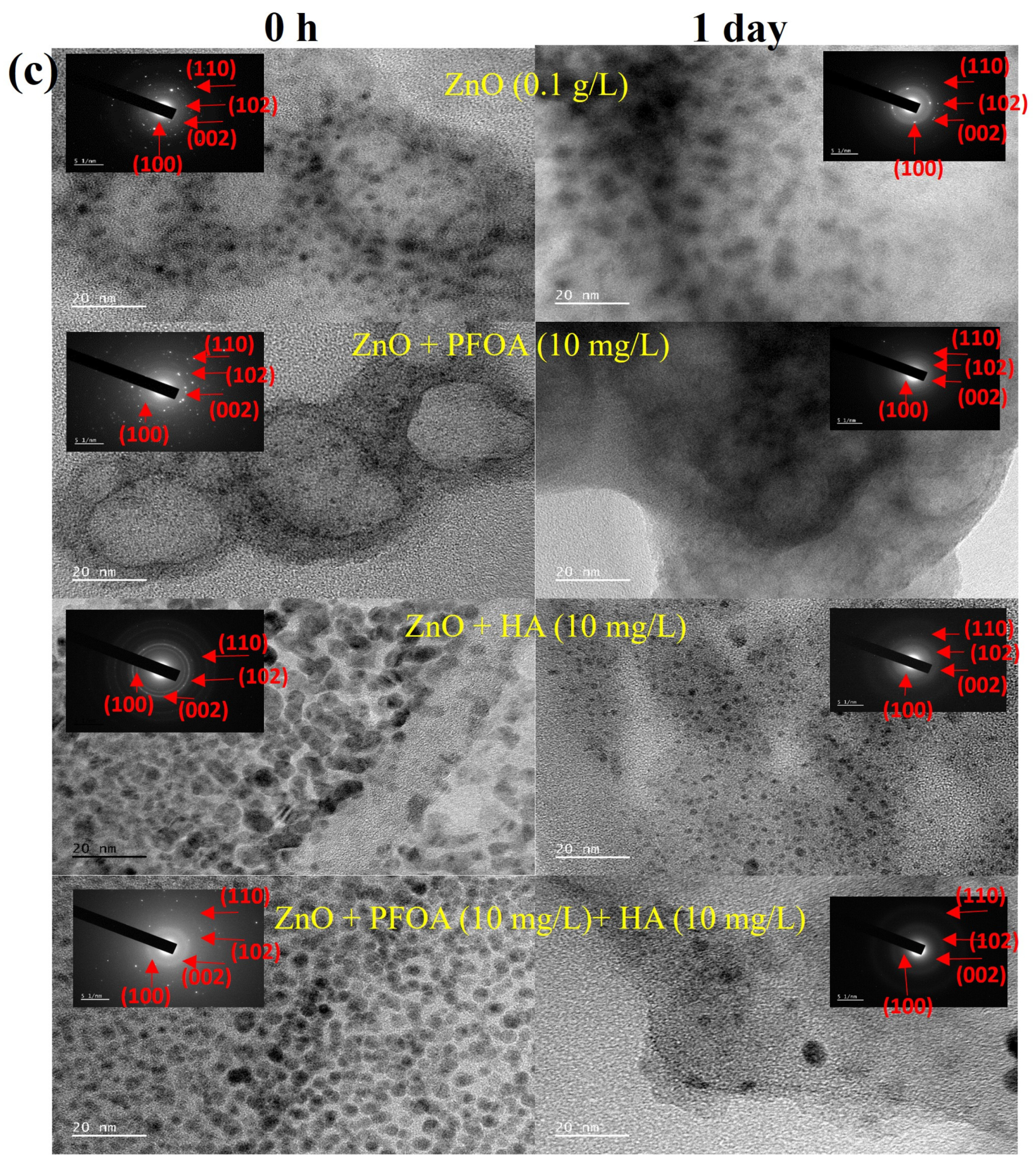 Toxics 12 00602 g004b