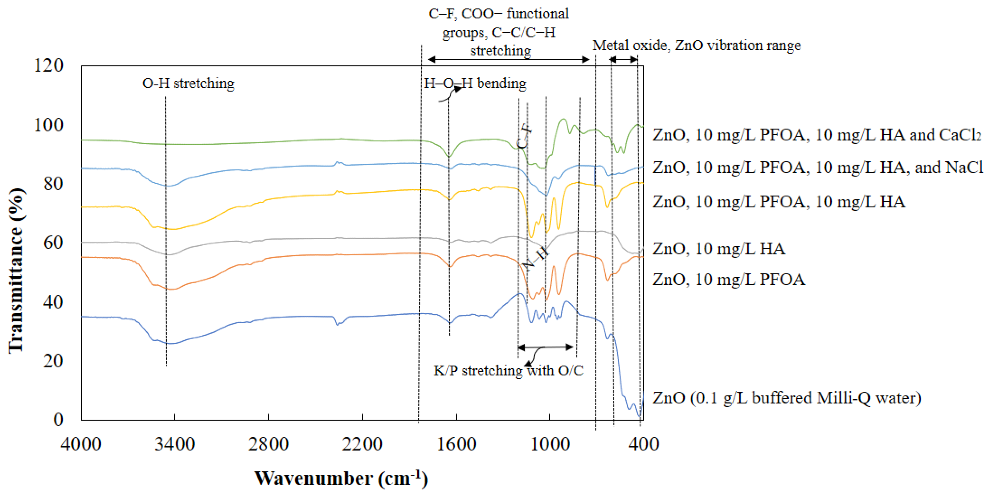 Toxics 12 00602 g006