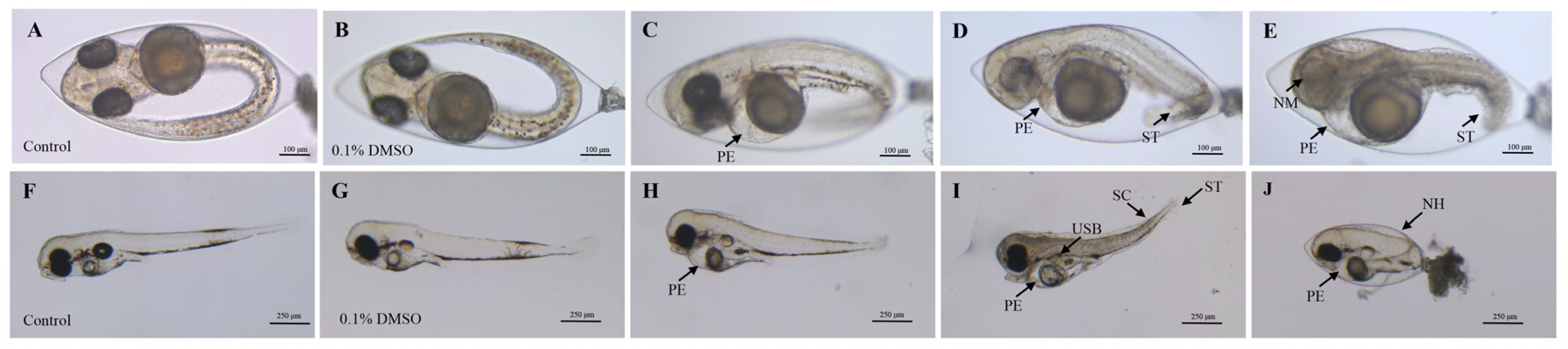 Toxics 12 00609 g001