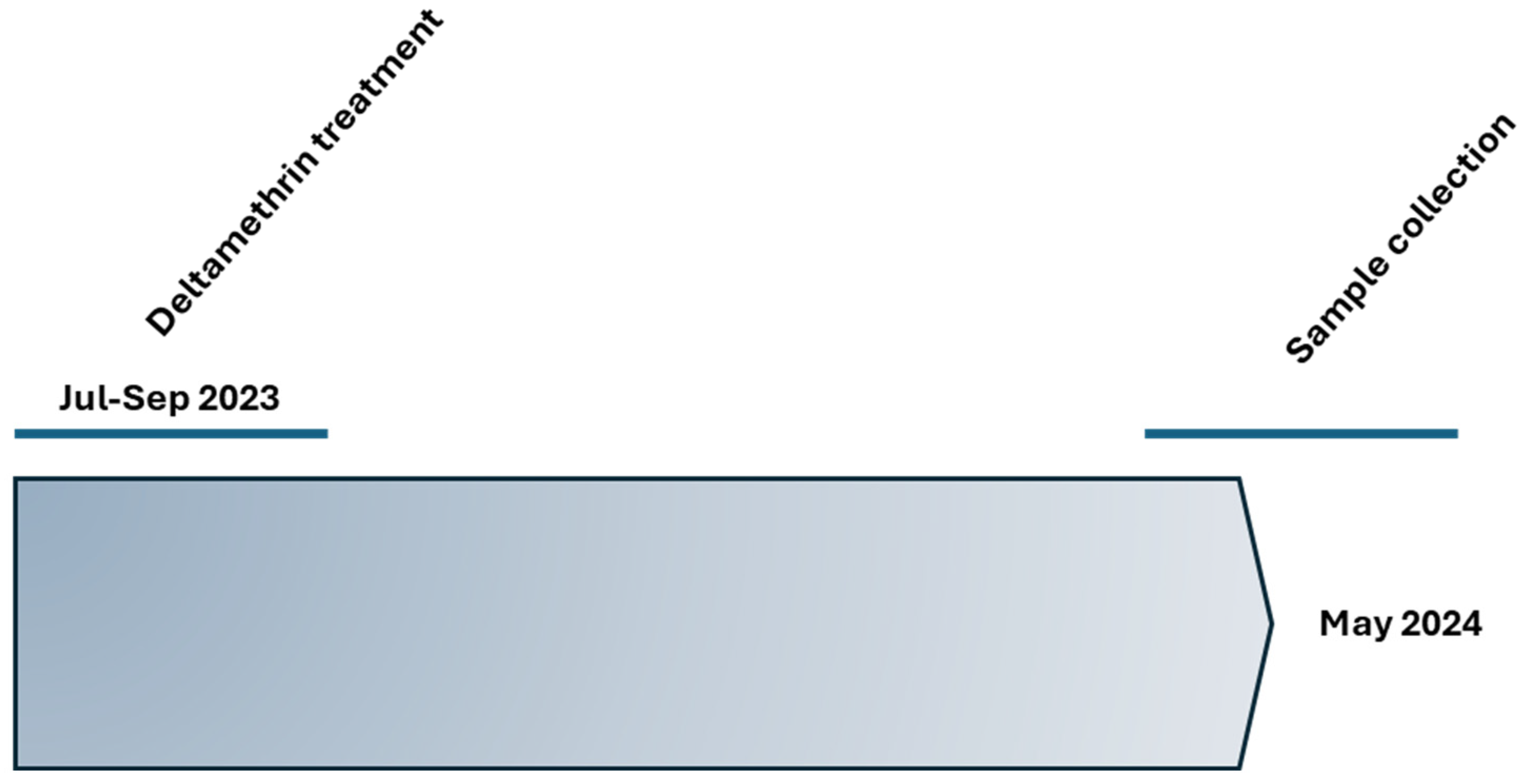 Toxics 12 00615 g001