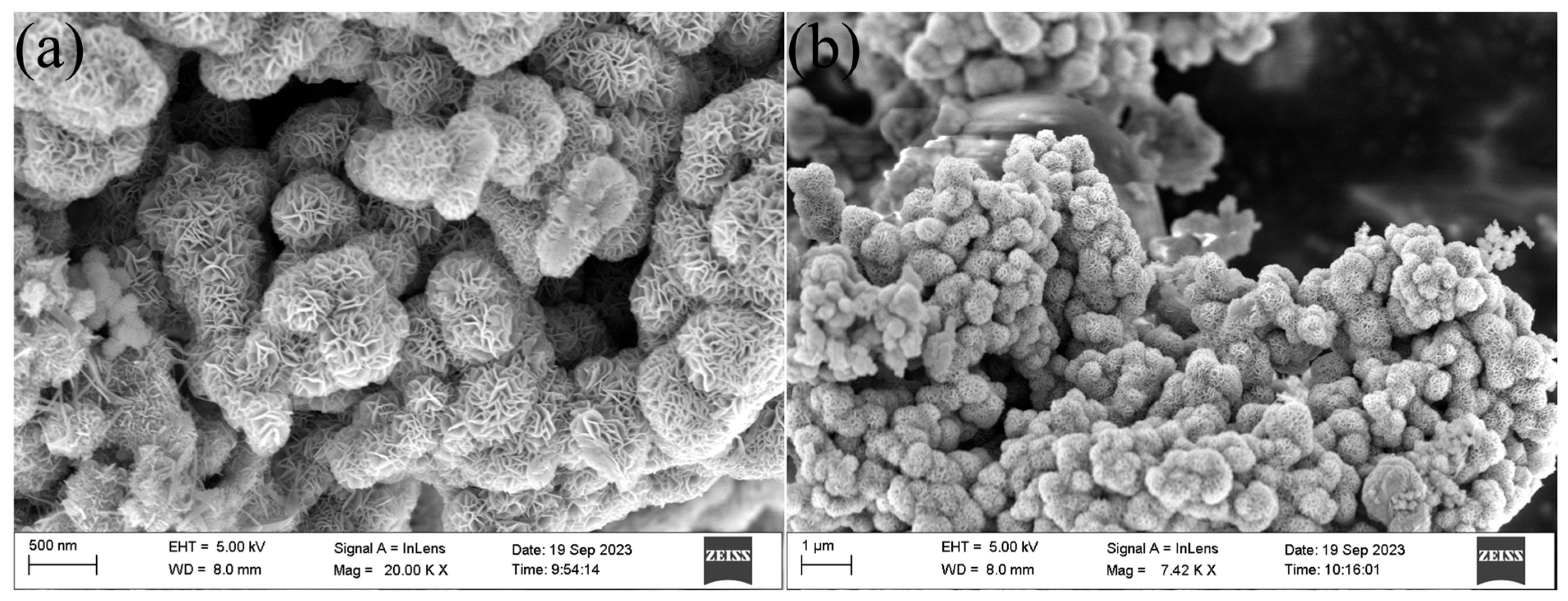 Toxics 12 00619 g001