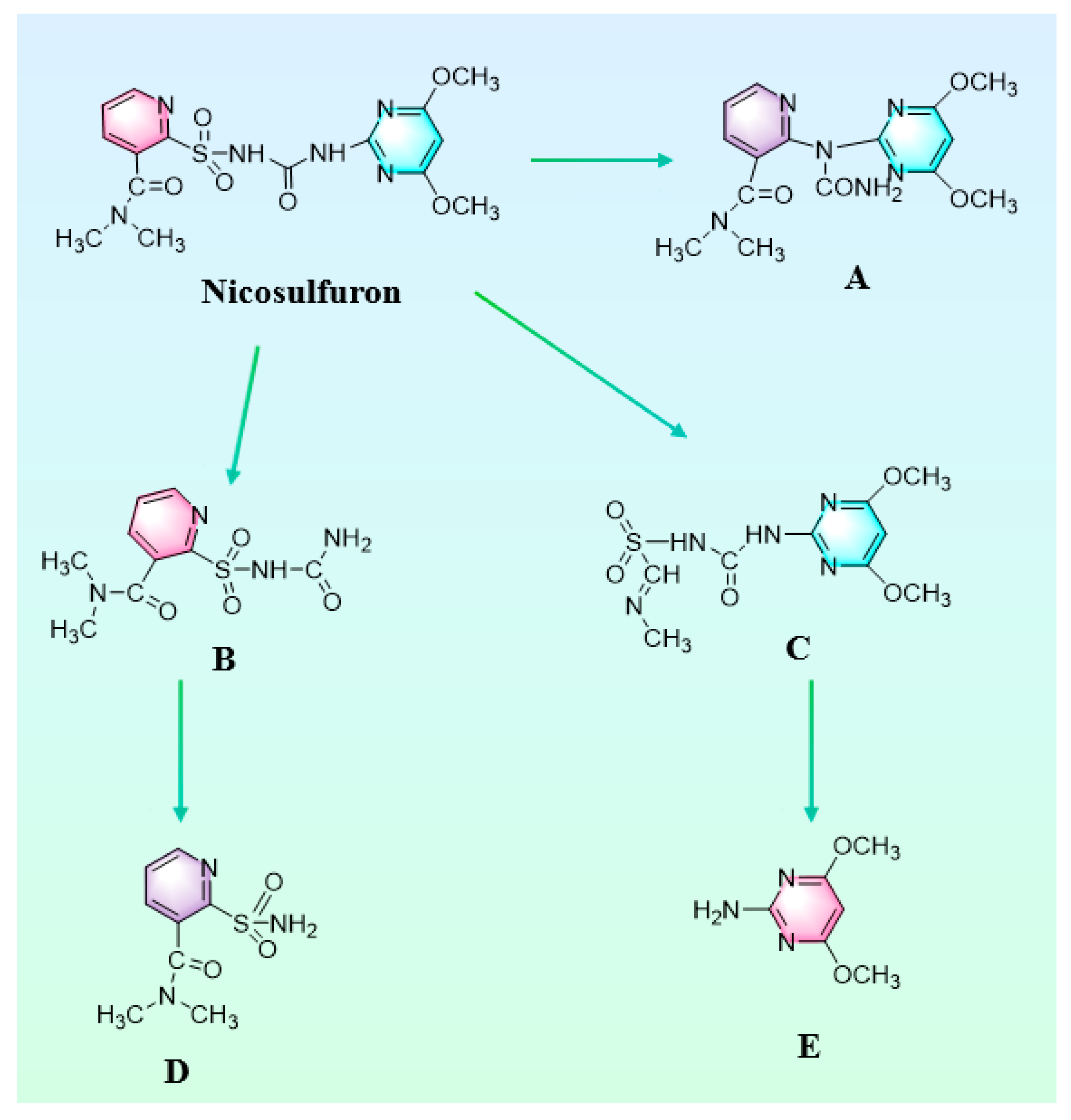 Toxics 12 00619 g009