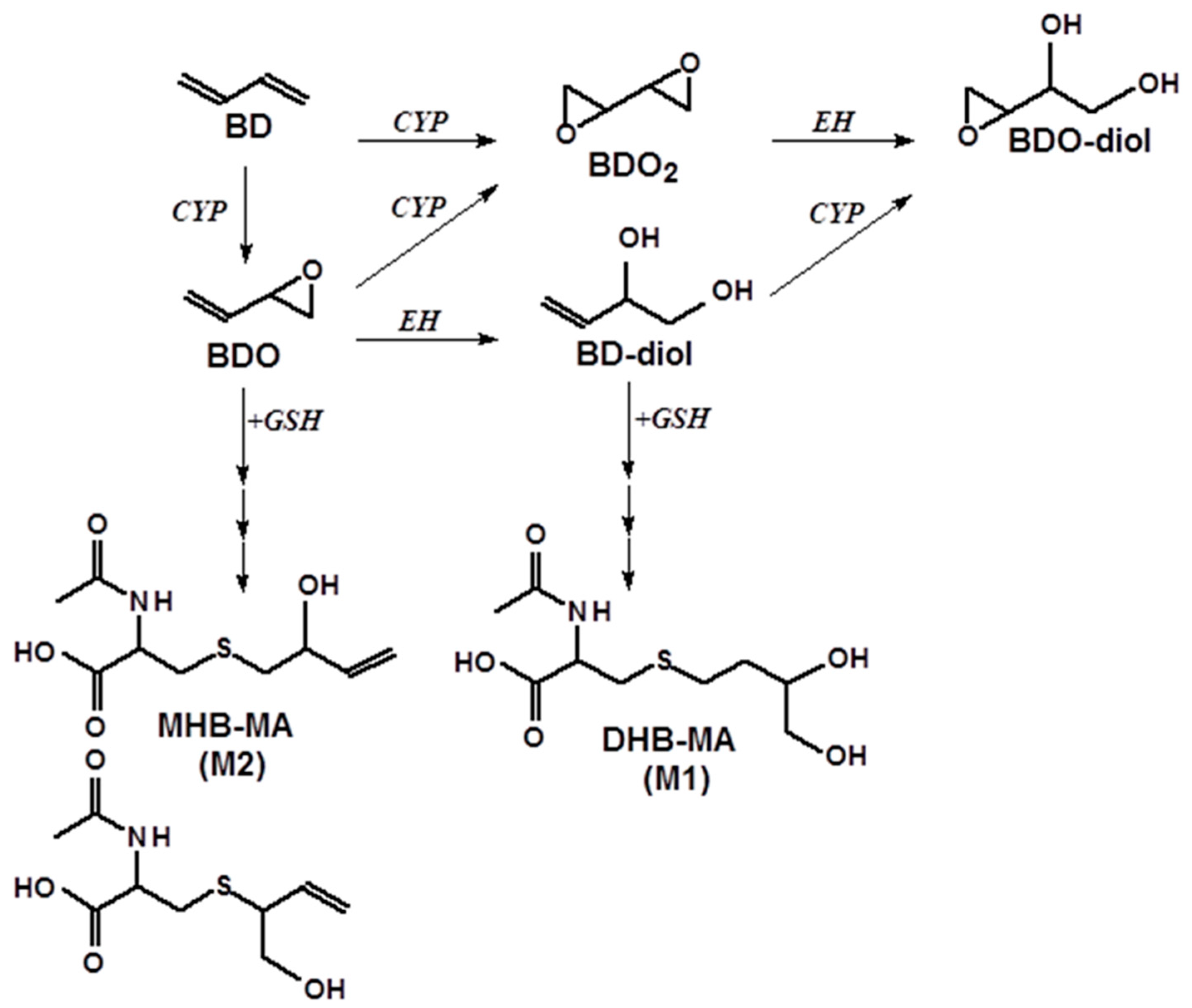 Toxics 12 00623 g001