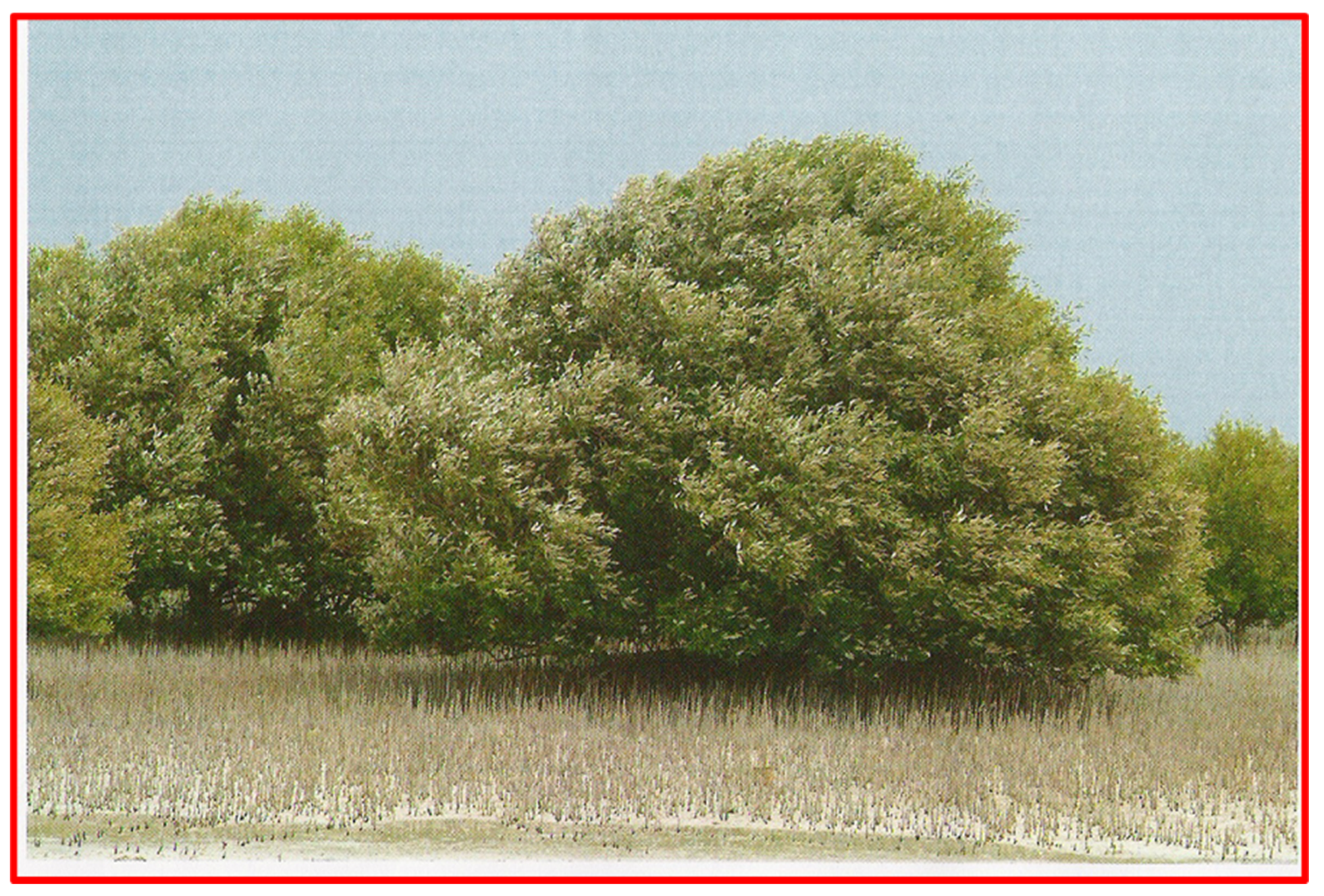 Toxics 12 00625 g002