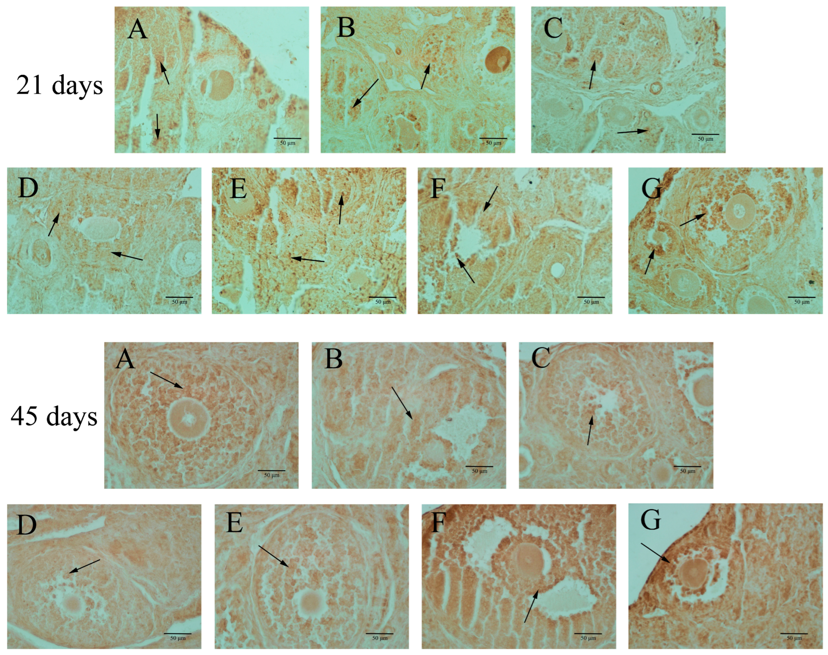 Toxics 12 00627 g004