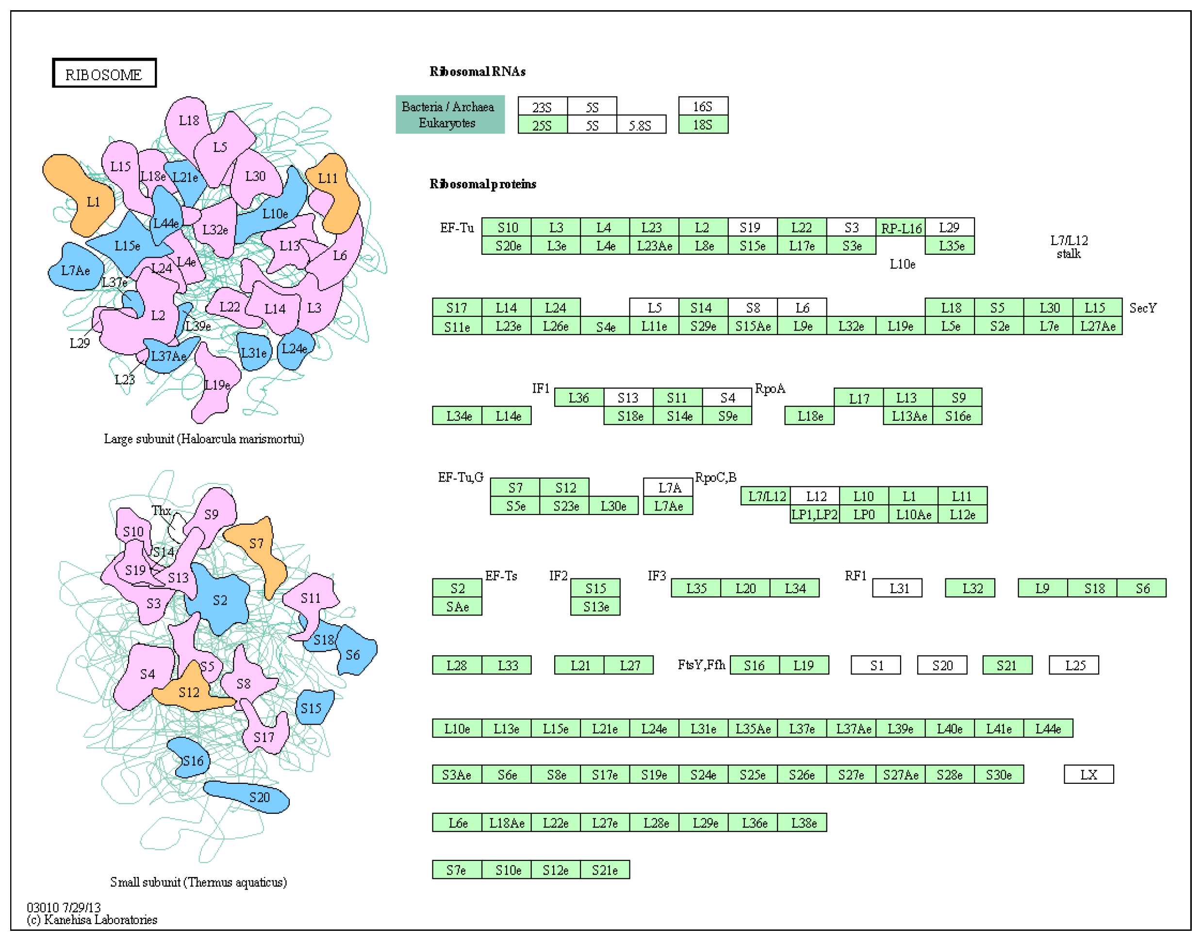 Toxics 12 00627 g008
