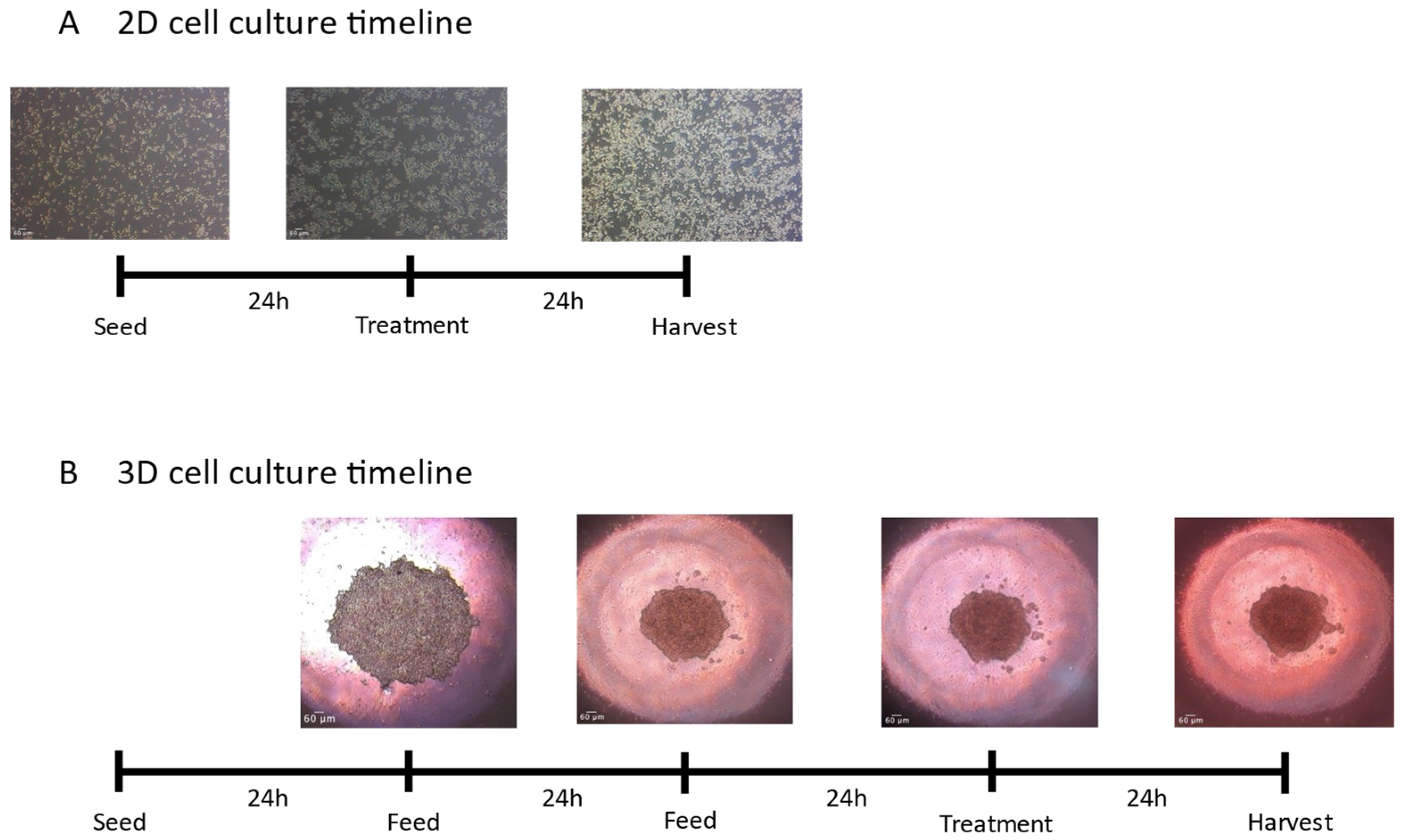 Toxics 12 00631 g001