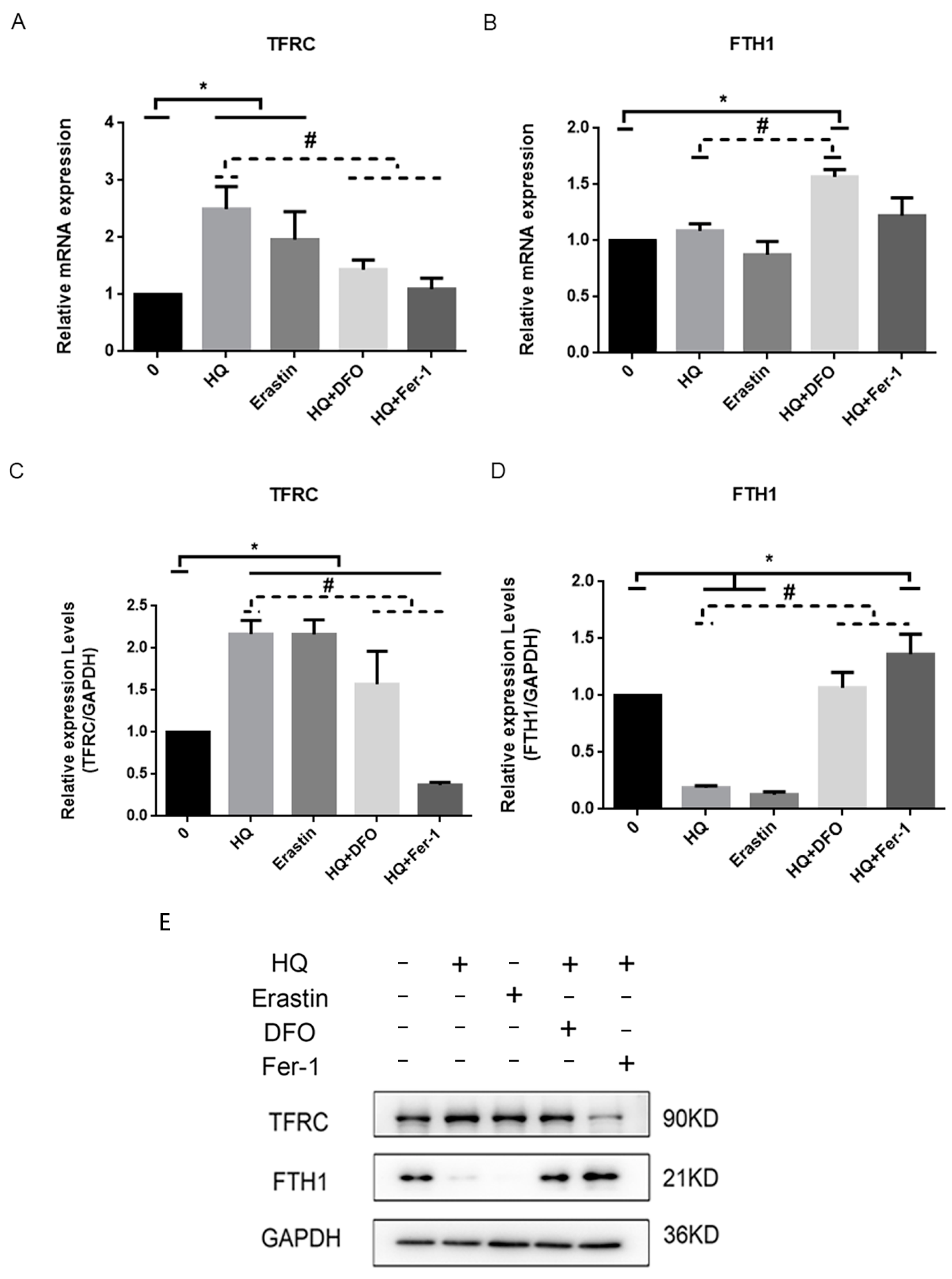 Toxics 12 00644 g008