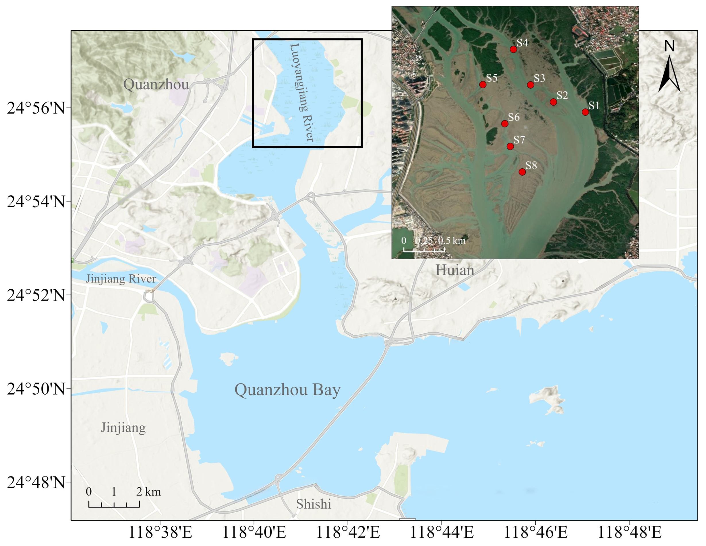Toxics 12 00645 g001
