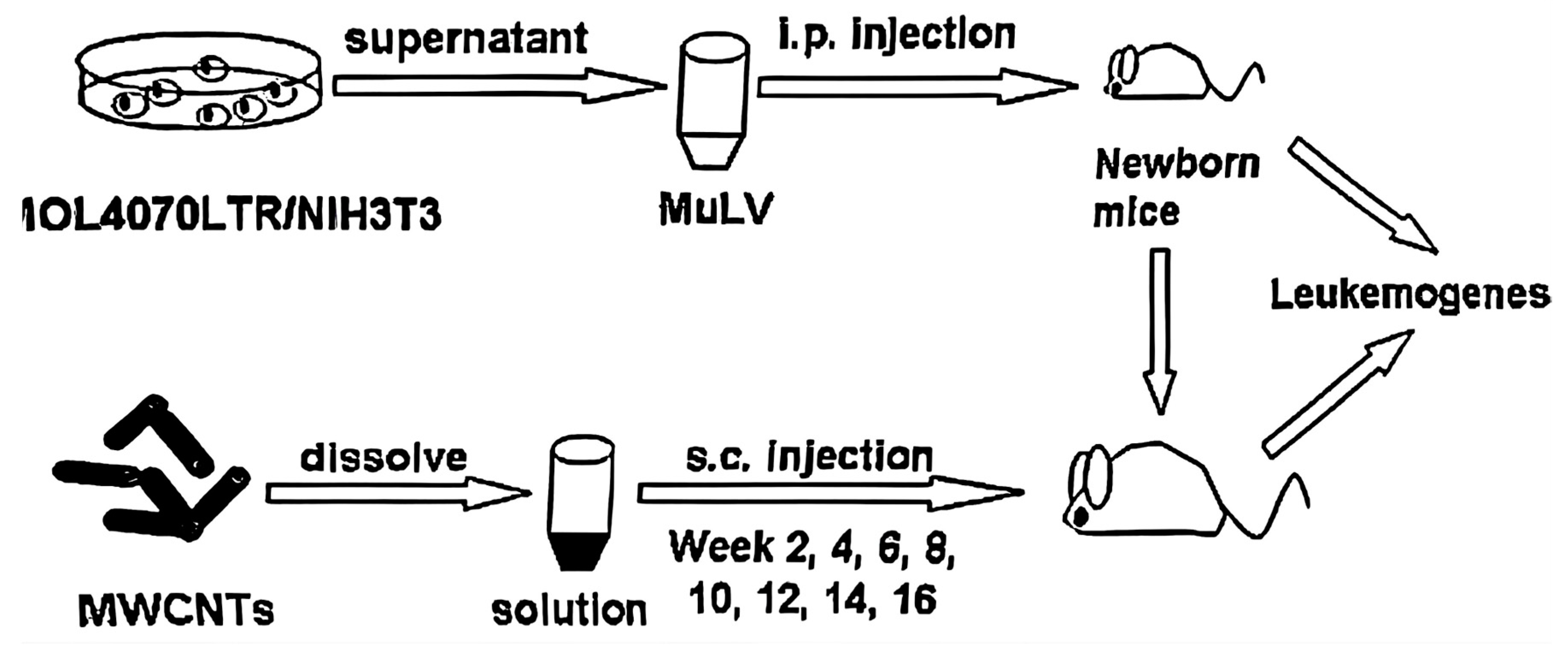 Toxics 12 00646 g001