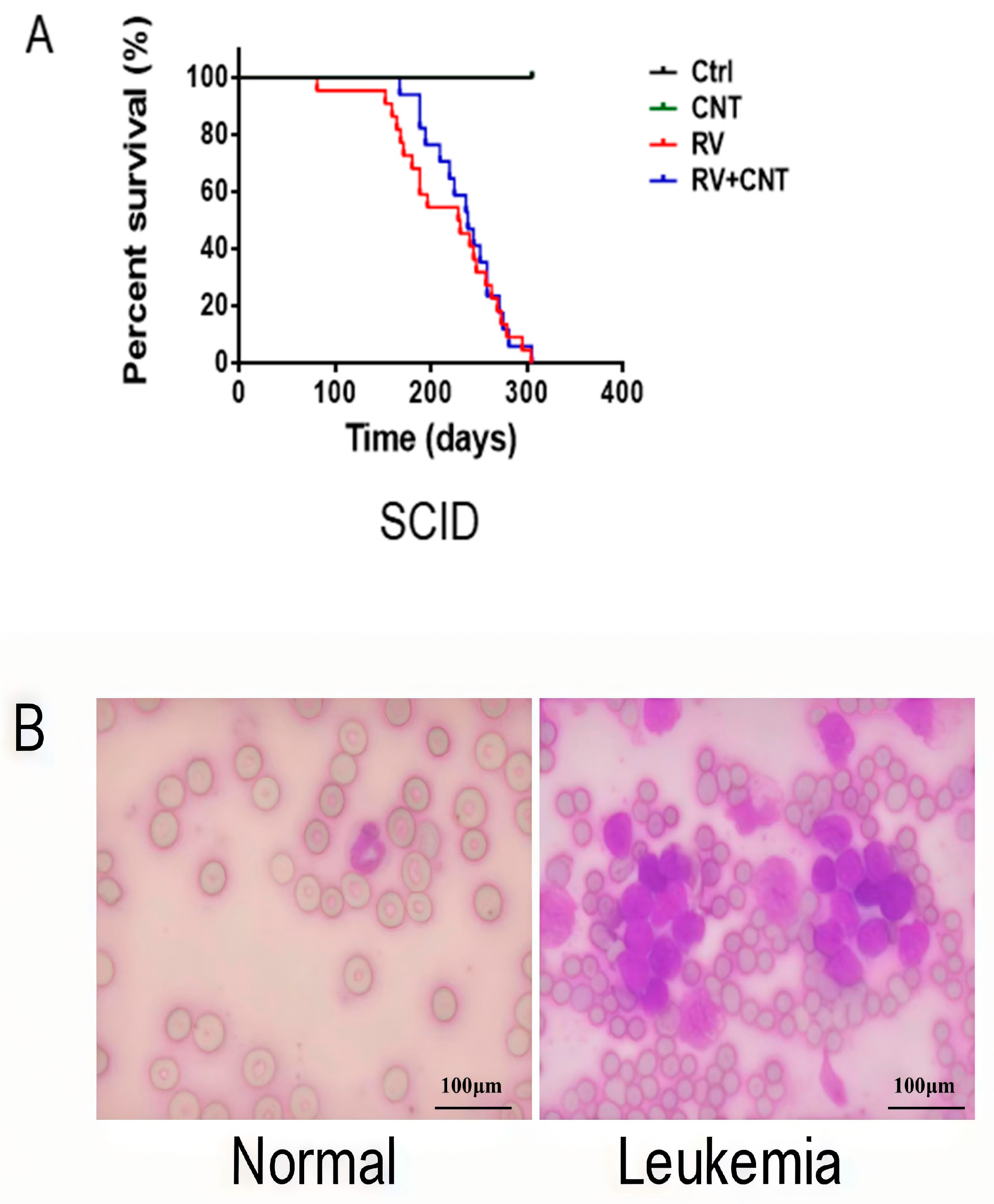 Toxics 12 00646 g008