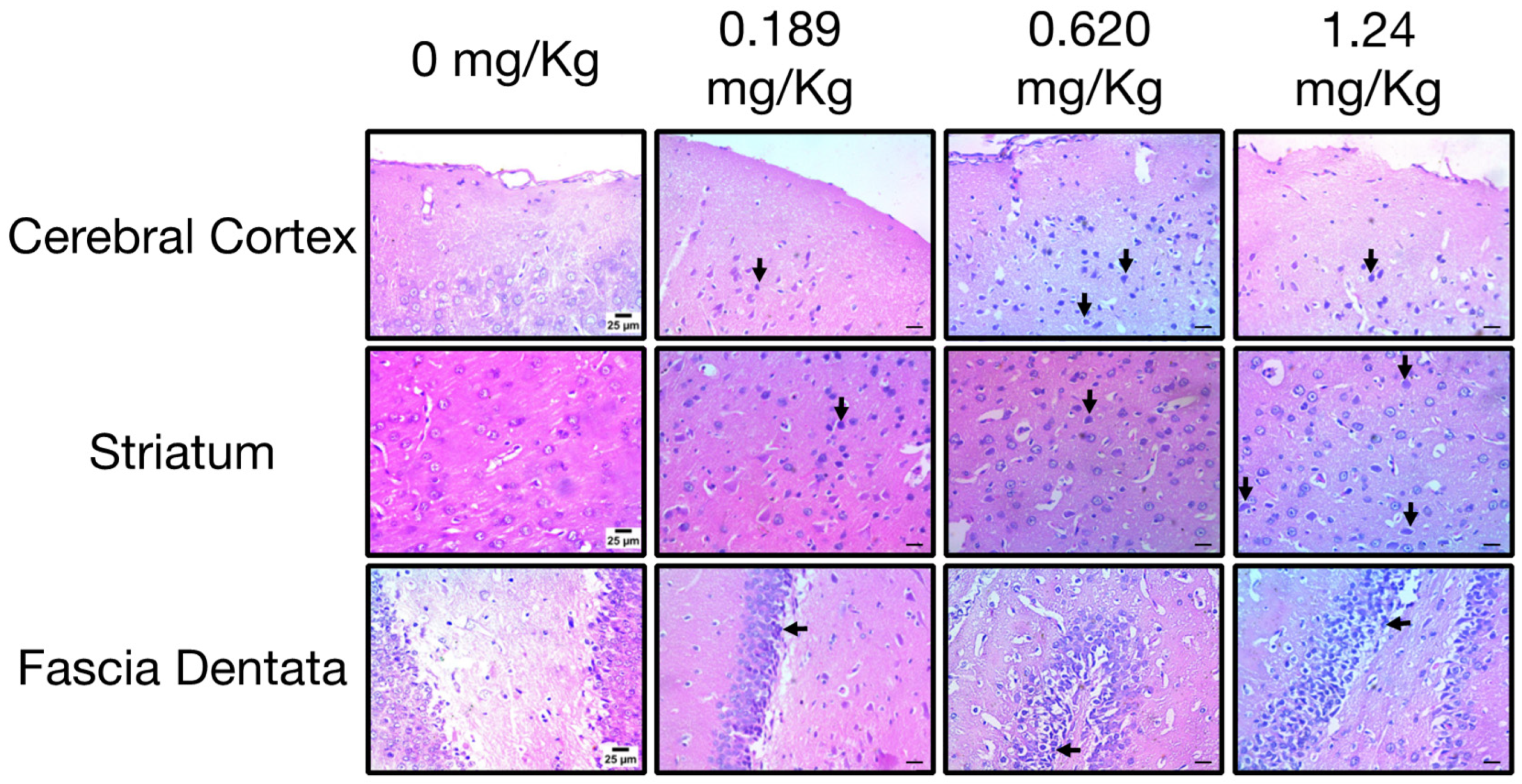 Toxics 12 00655 g005
