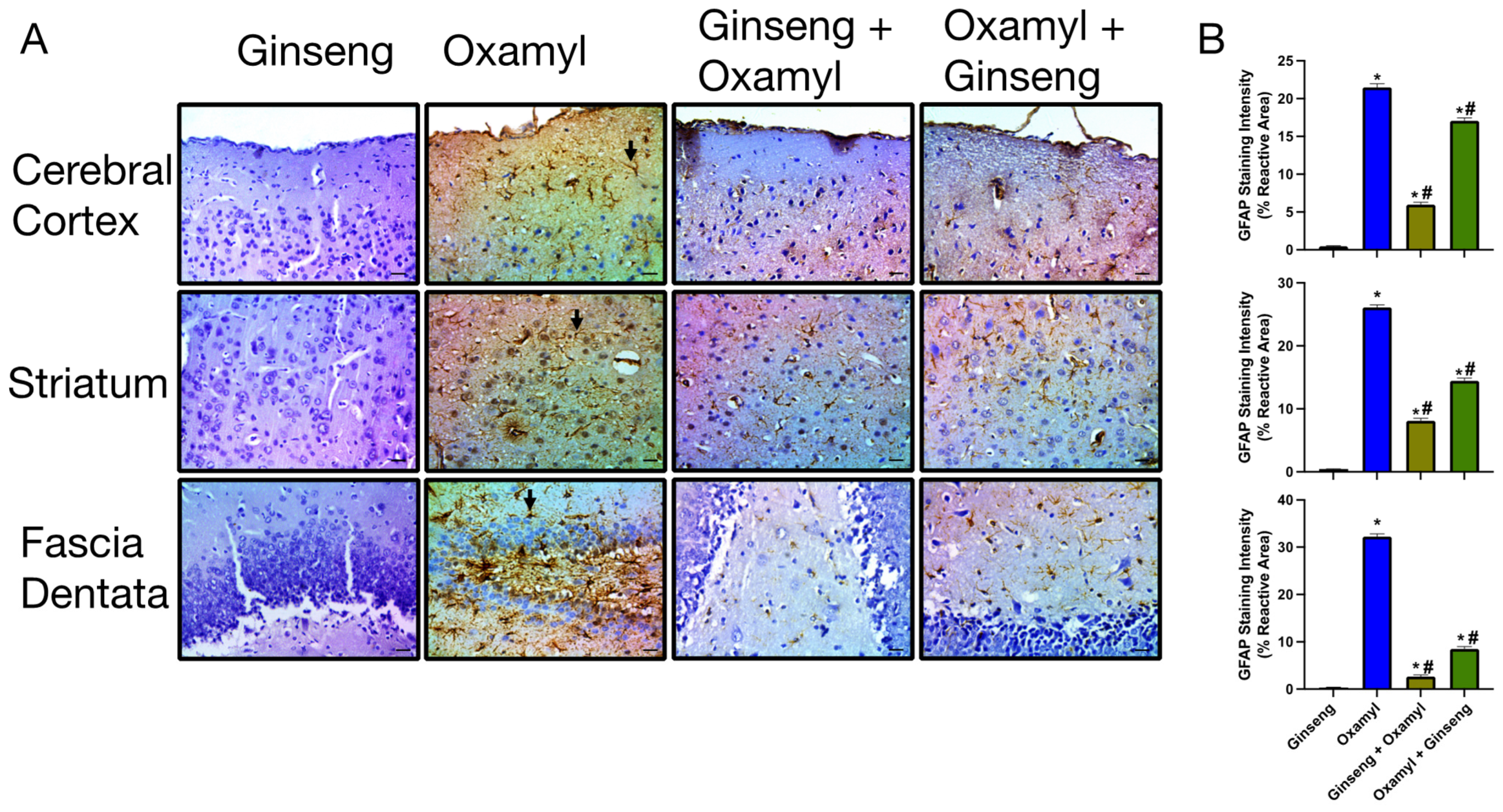Toxics 12 00655 g010