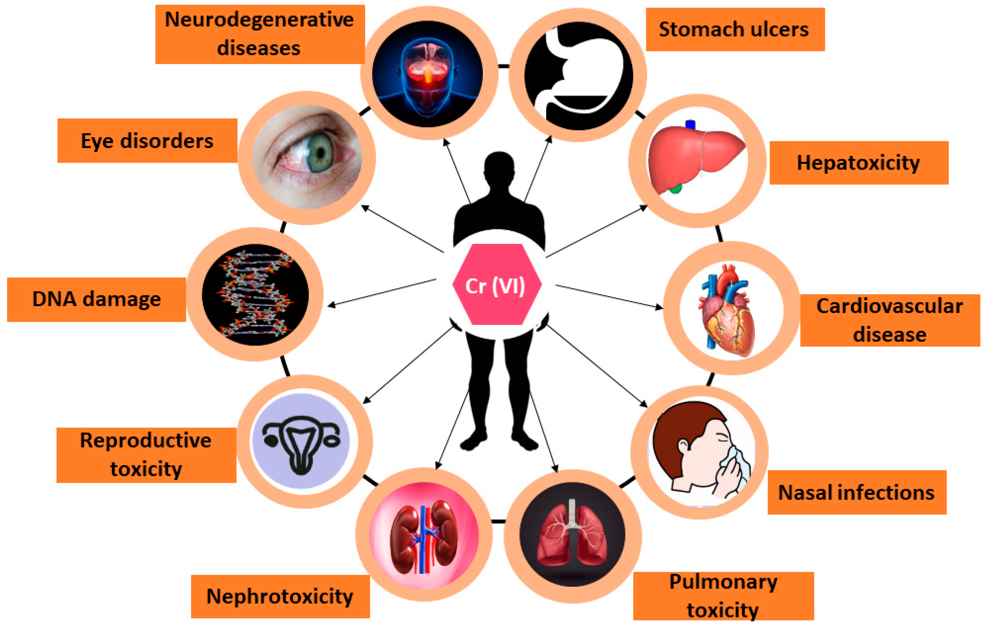 Toxics 12 00657 g001