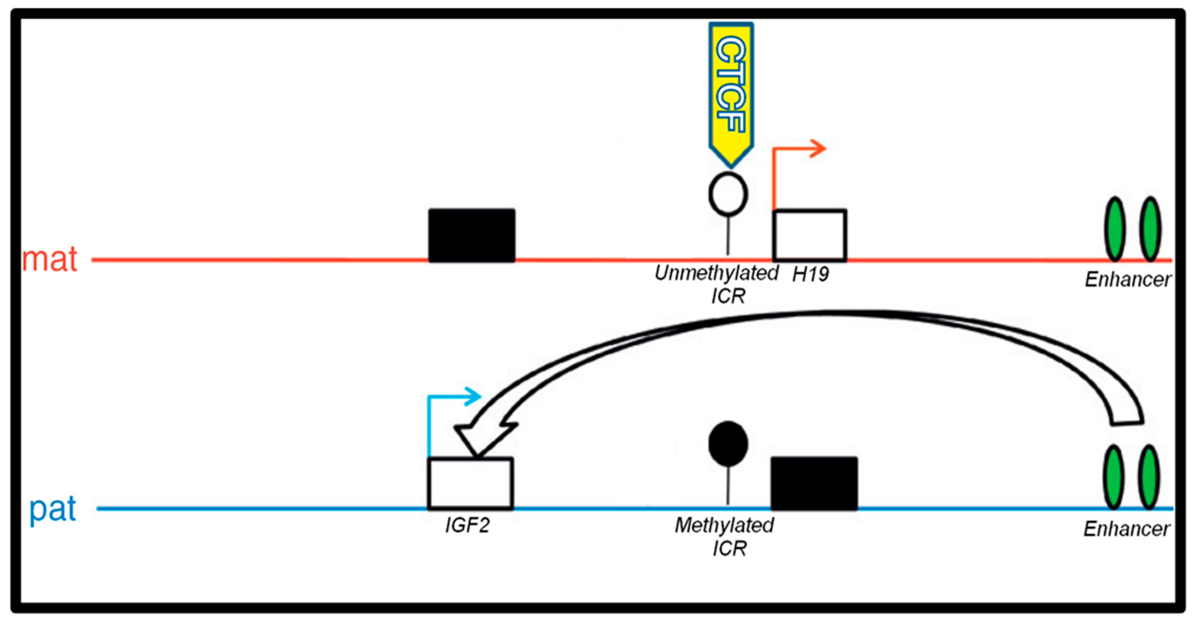 Toxics 12 00659 g001