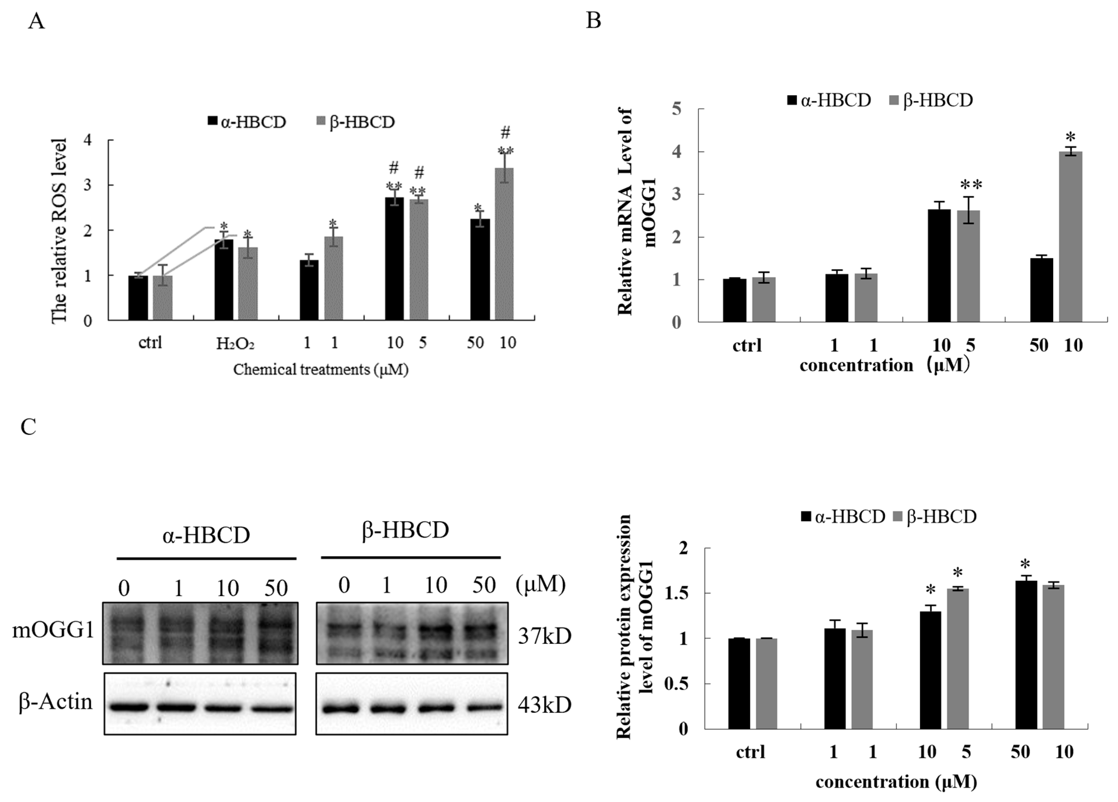 Toxics 12 00665 g002