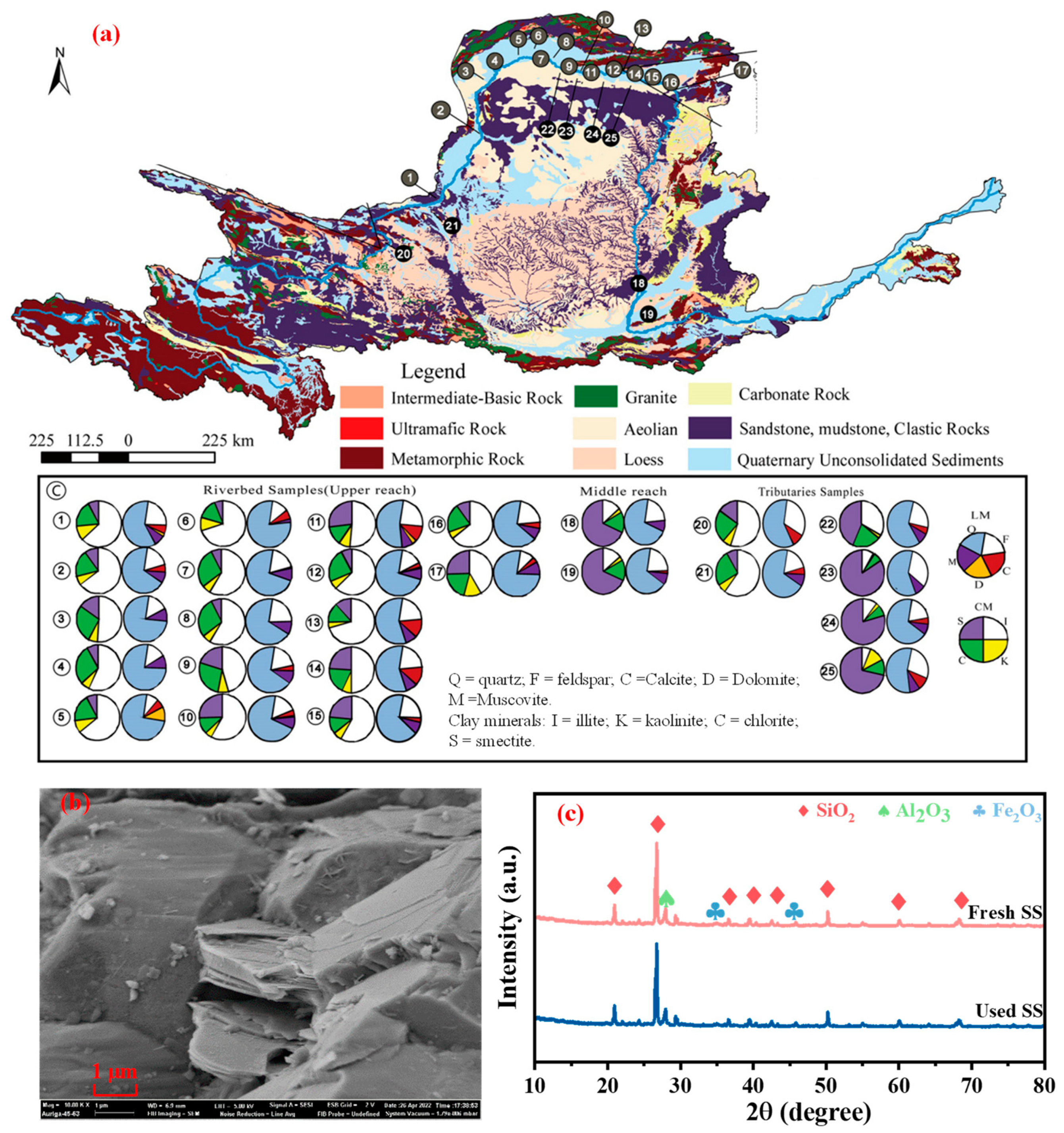 Toxics 12 00669 g001