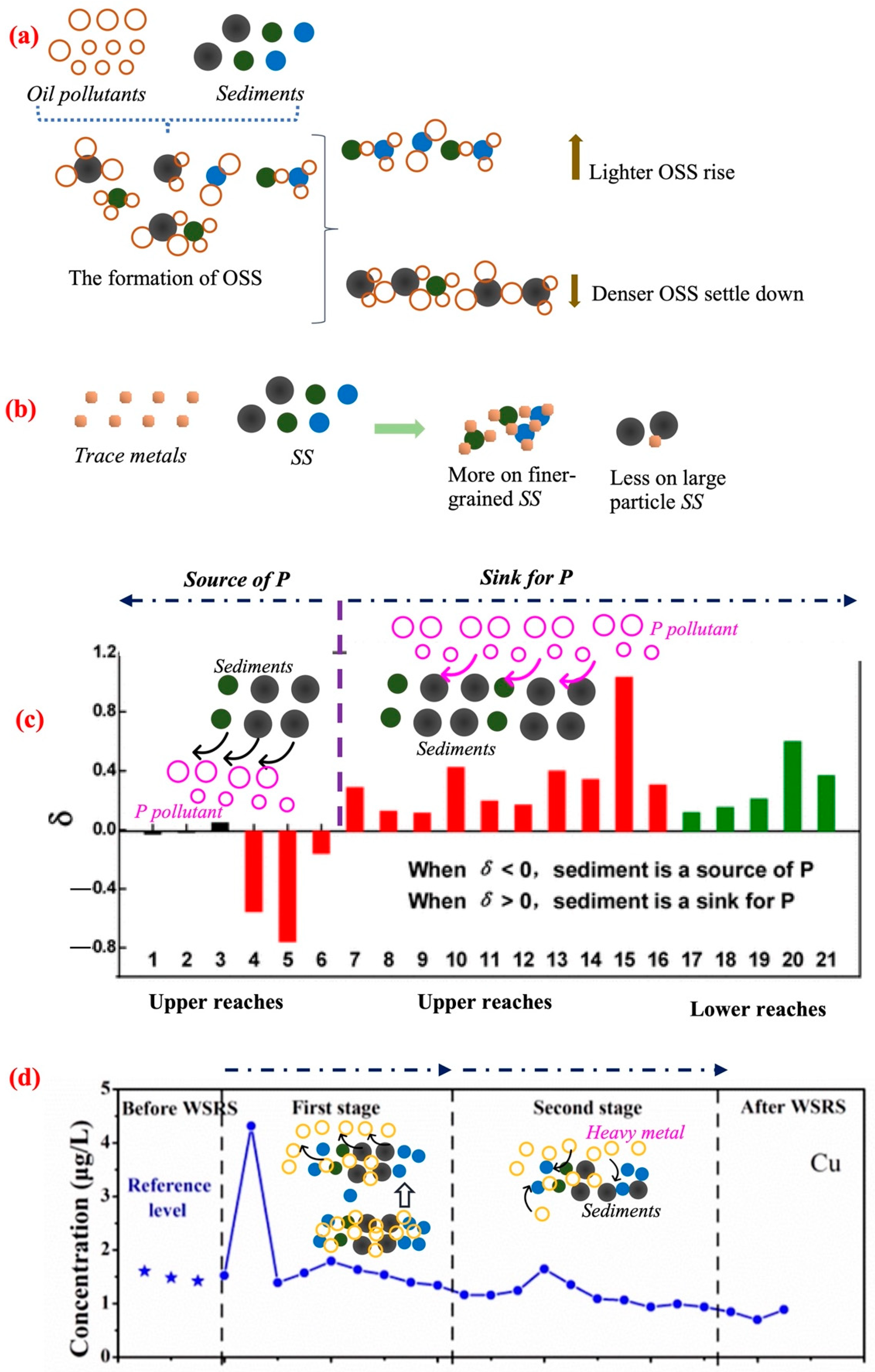 Toxics 12 00669 g003