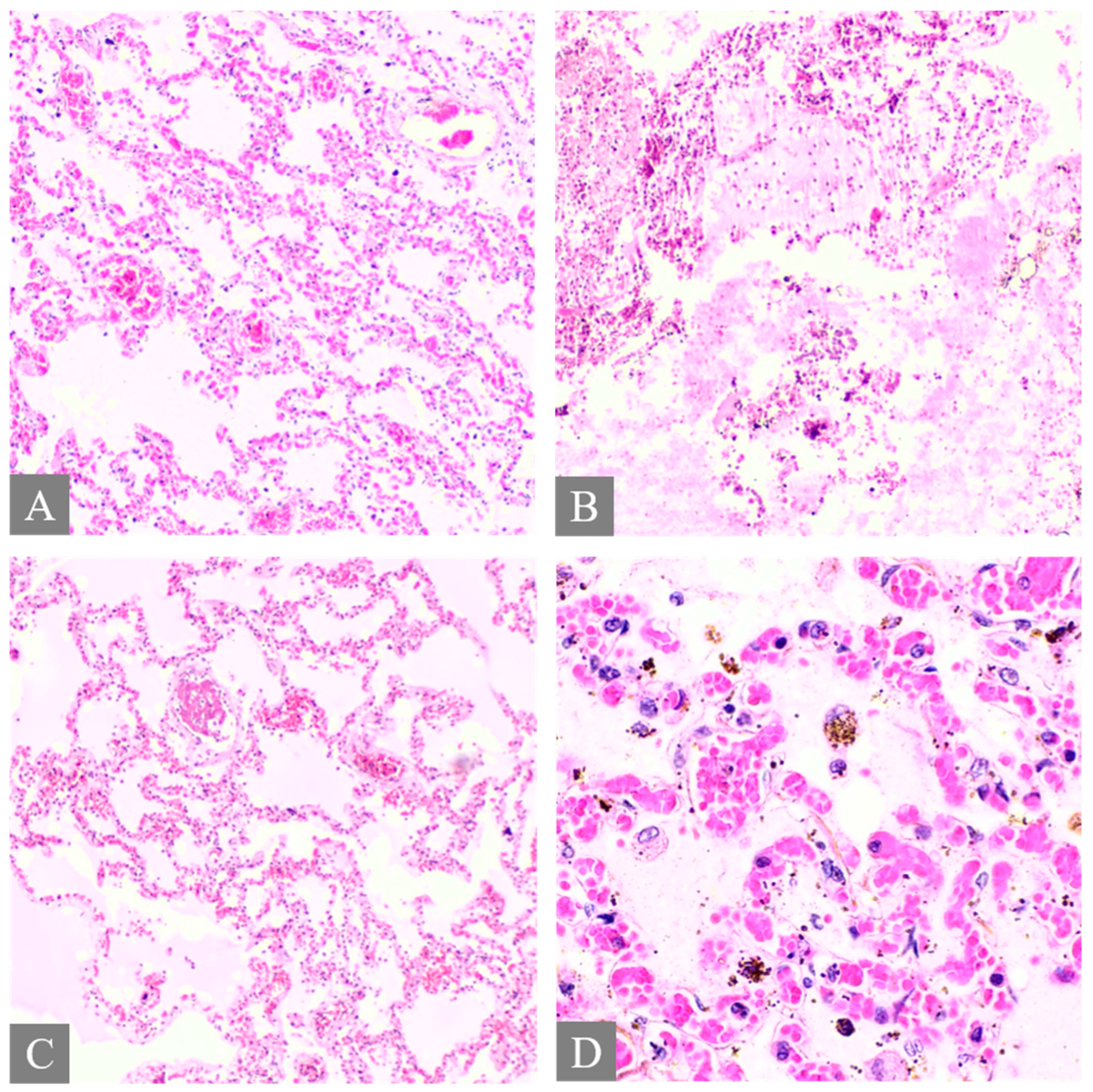 Toxics 12 00675 g002