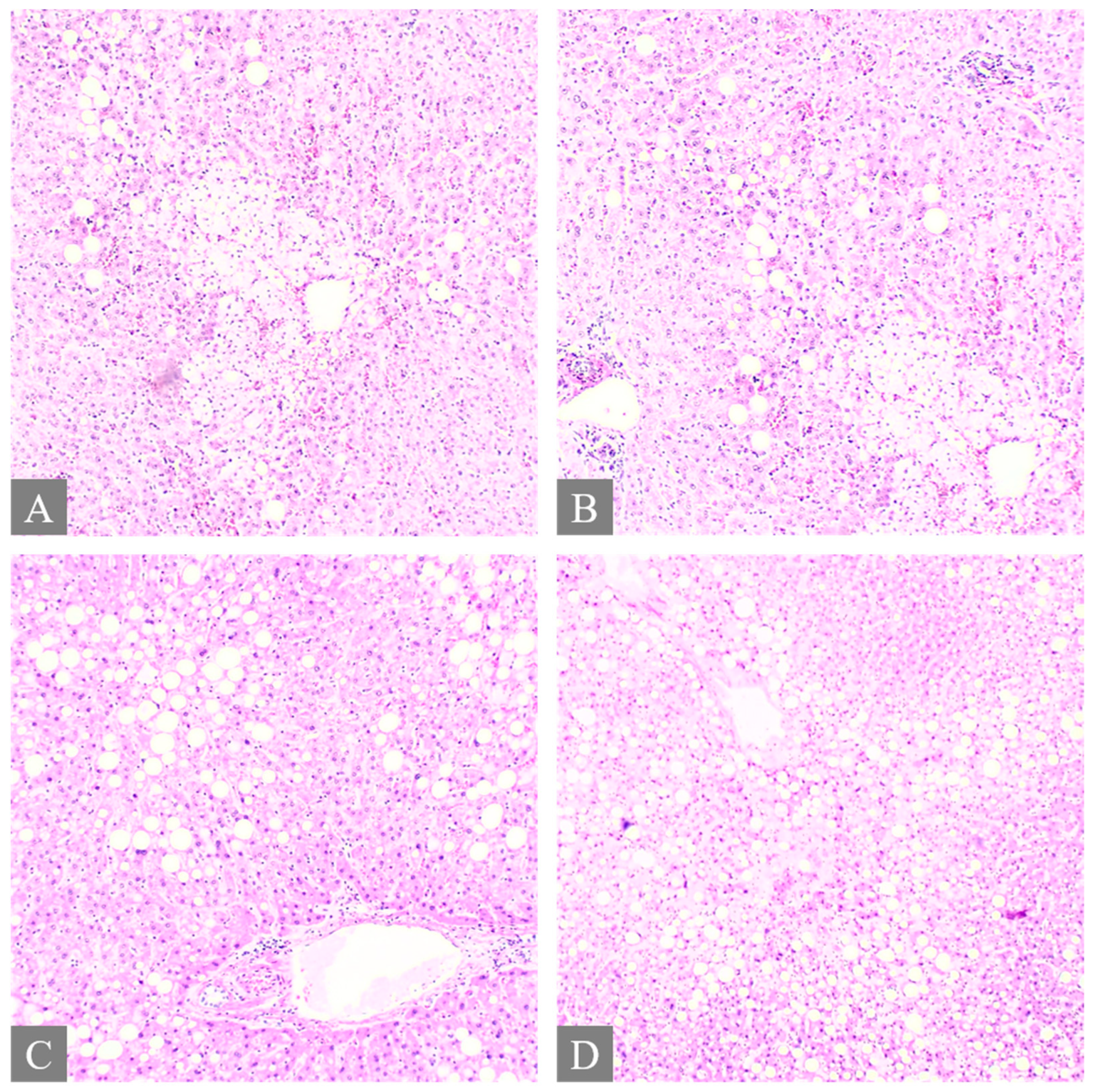 Toxics 12 00675 g003