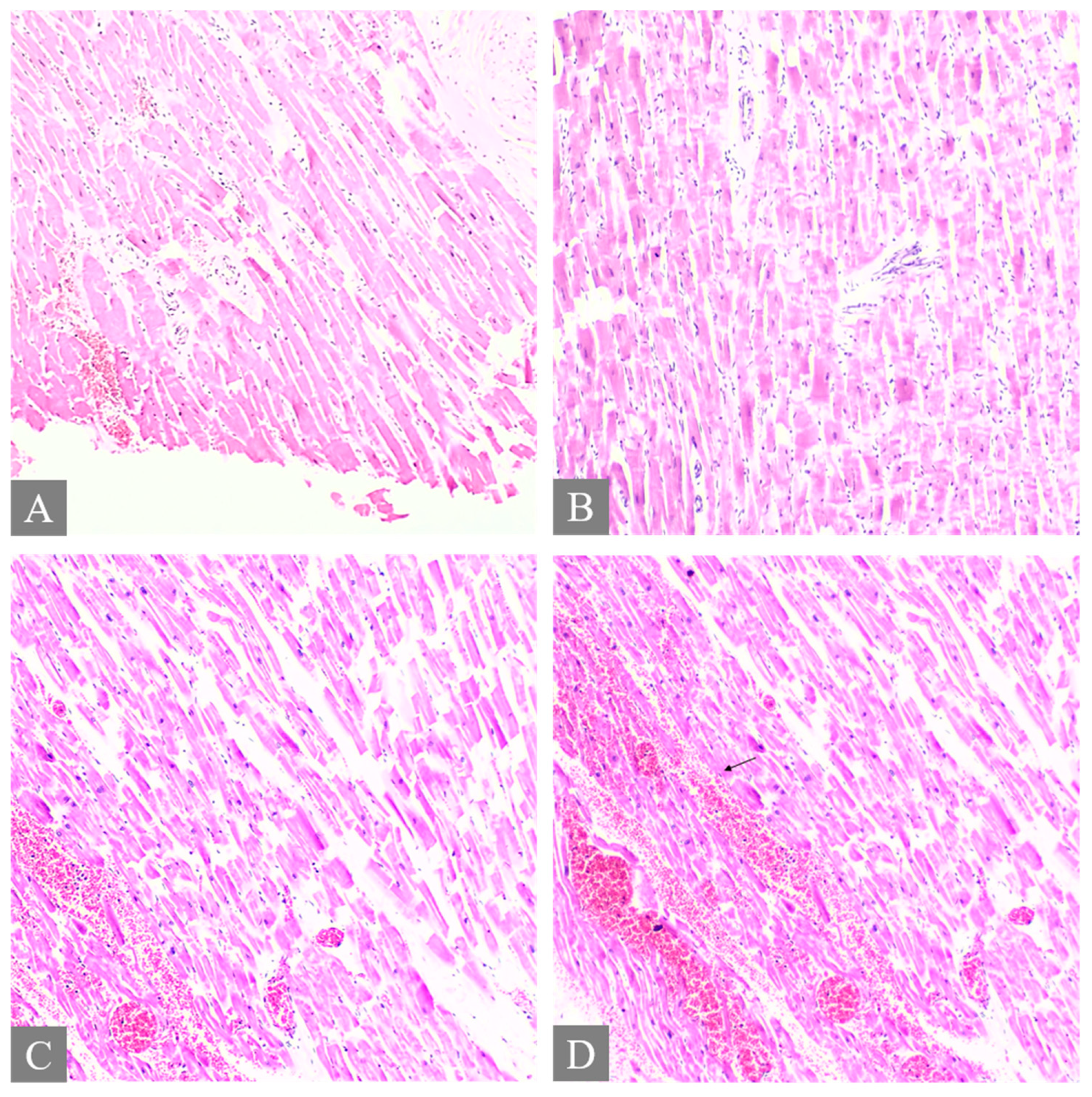Toxics 12 00675 g004